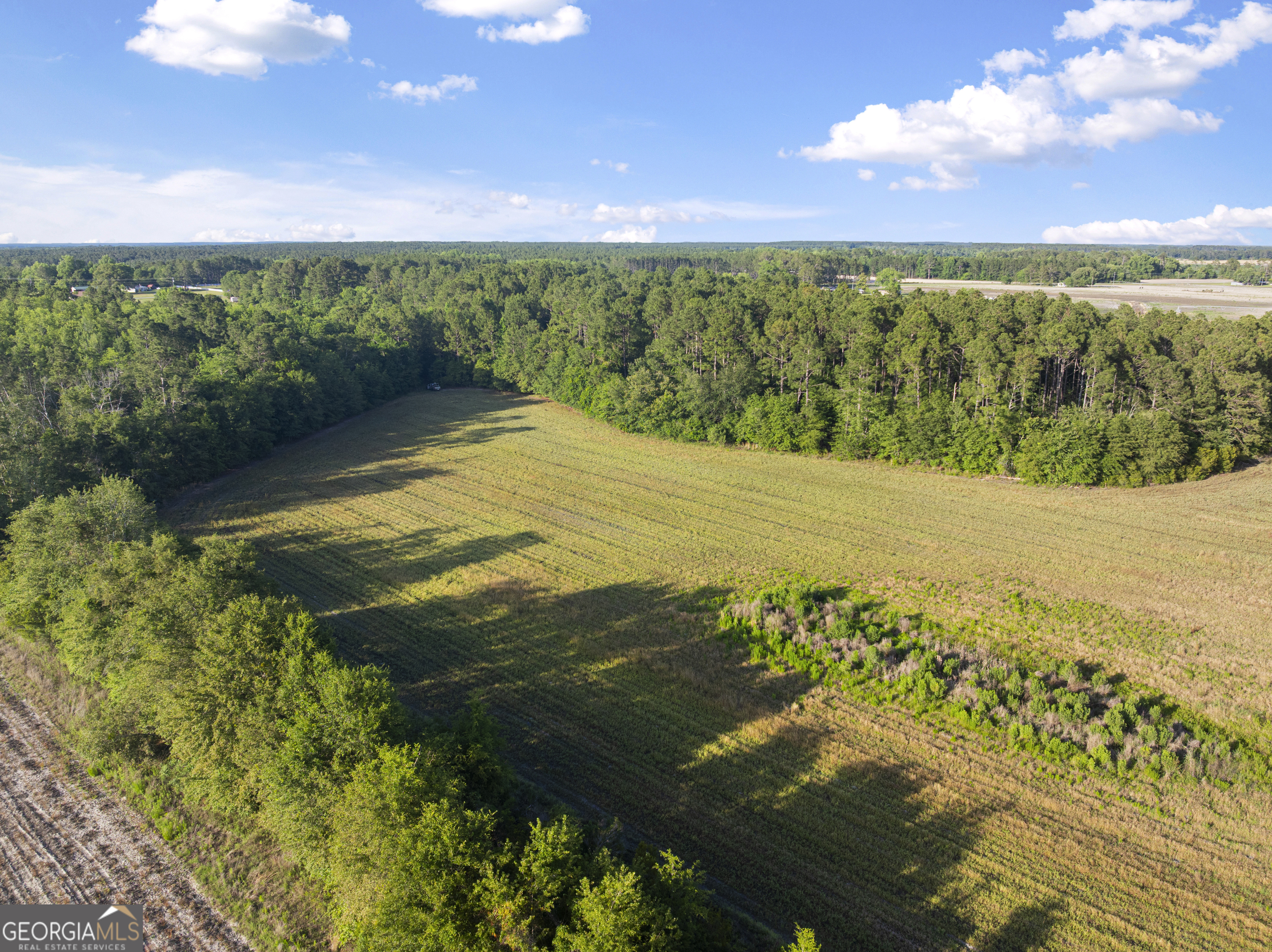 0 Douglas Highway Property Photo 37