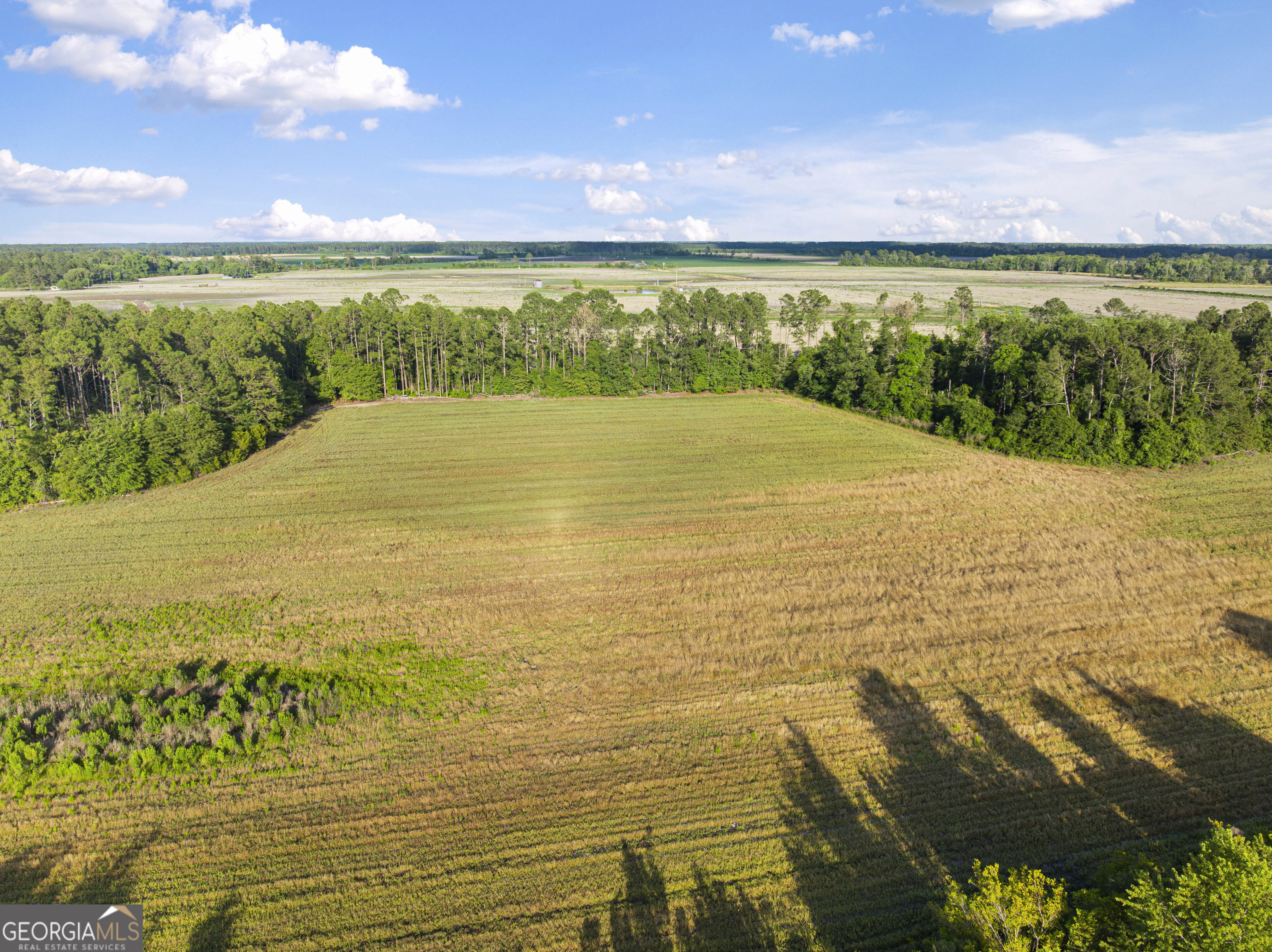 0 Douglas Highway Property Photo 38