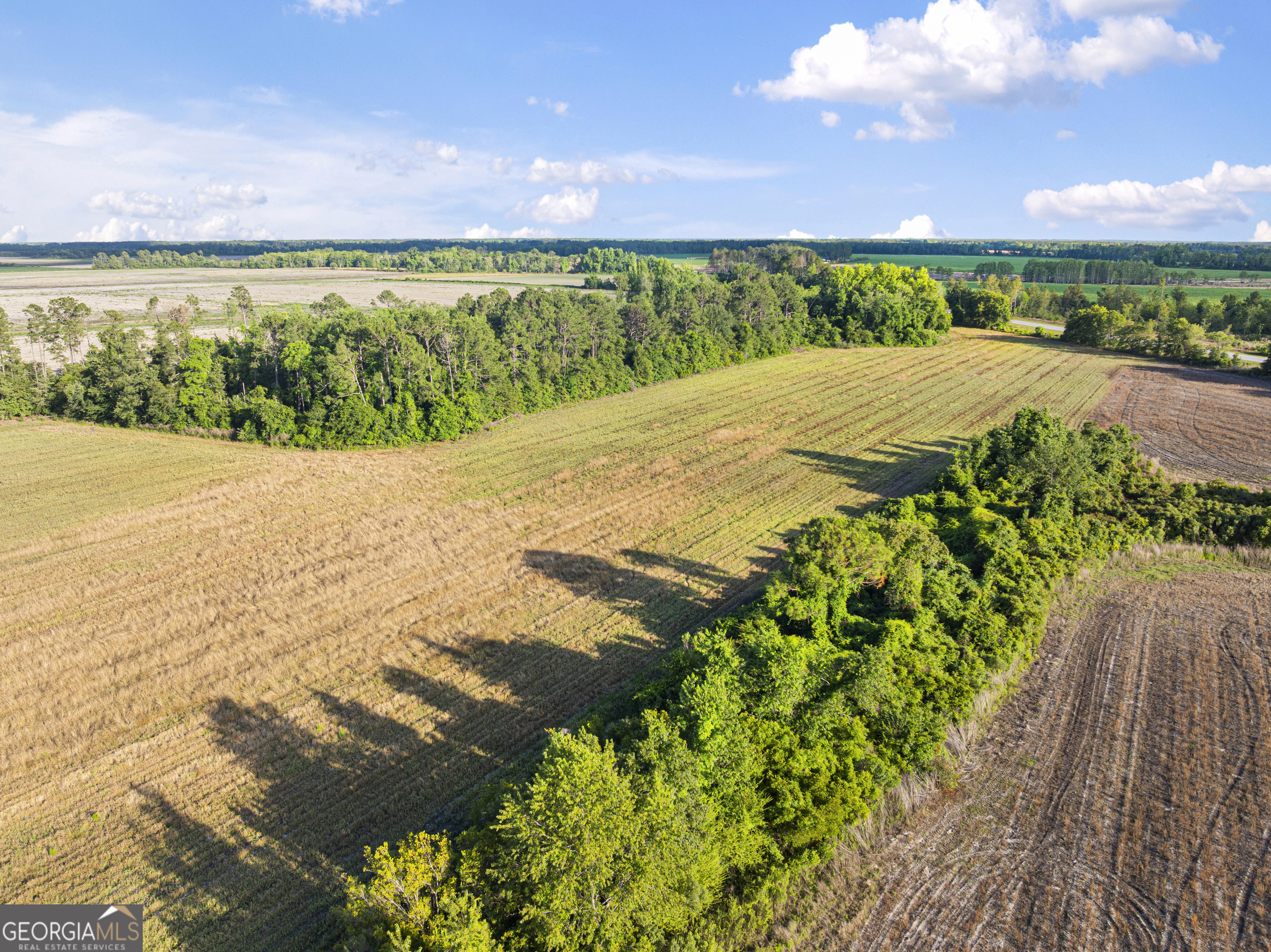 0 Douglas Highway Property Photo 39