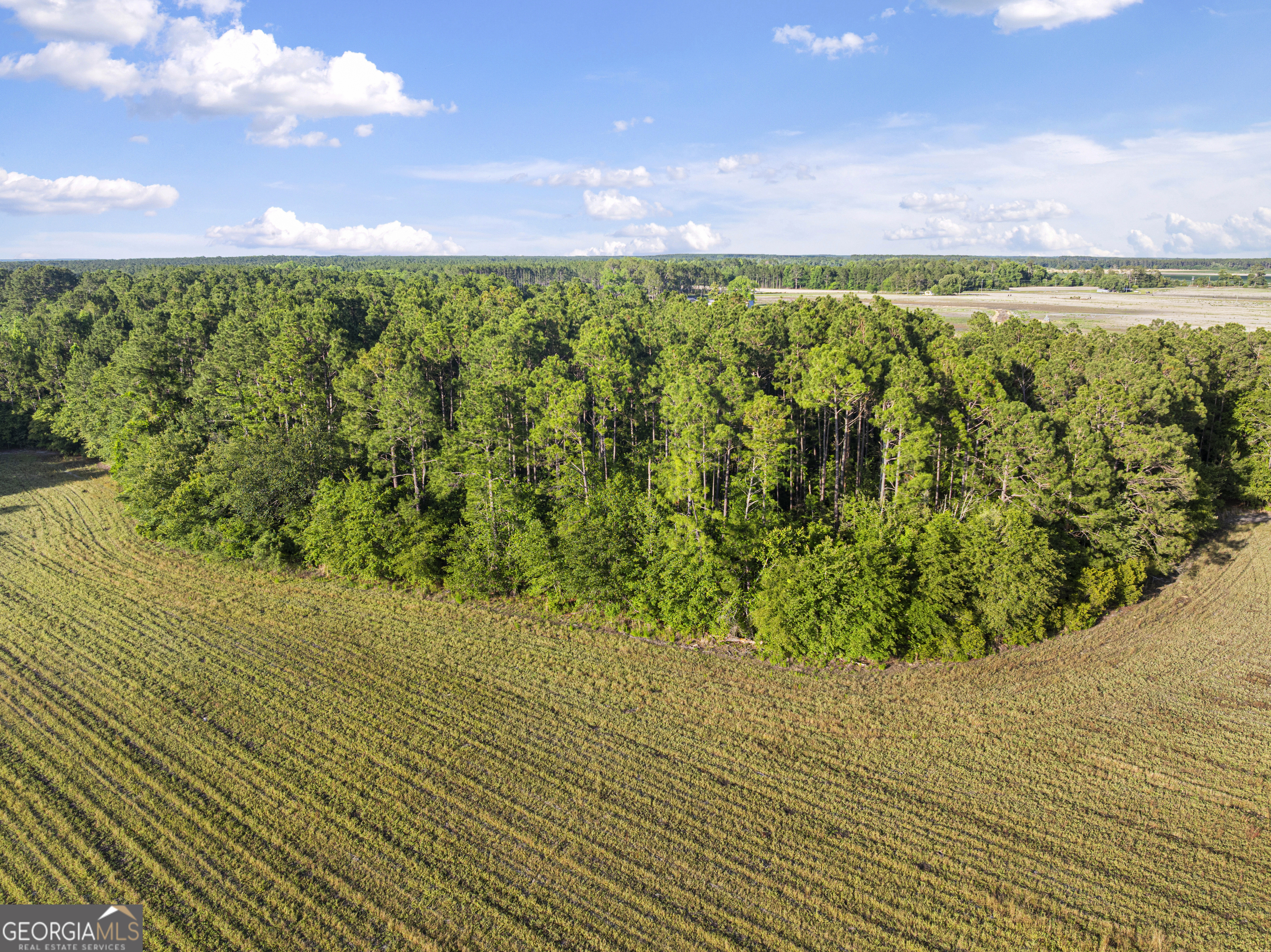 0 Douglas Highway Property Photo 40
