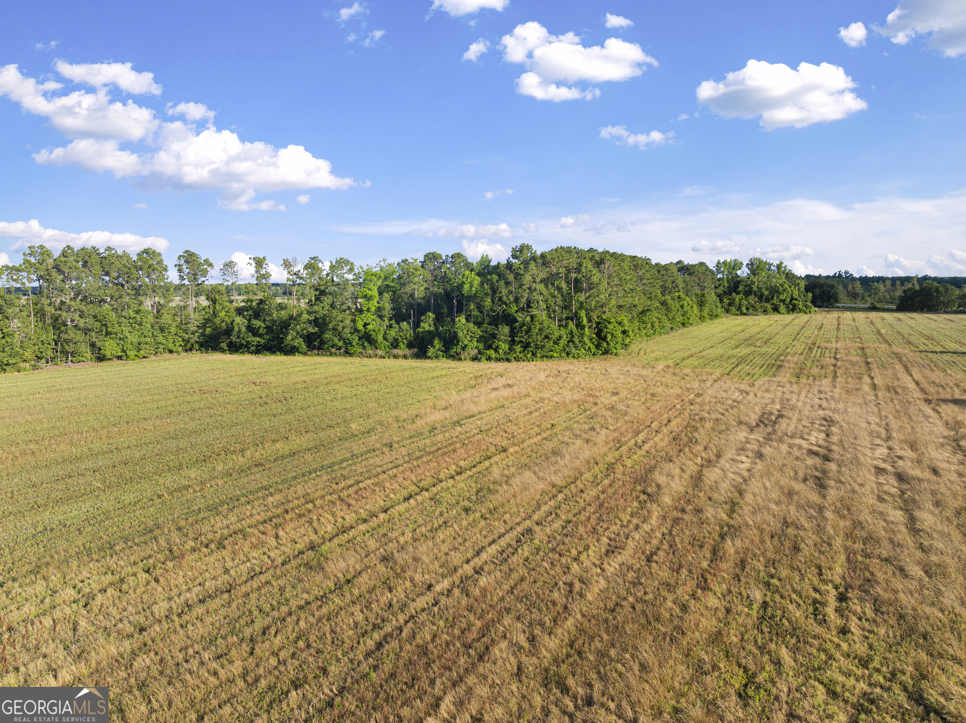 0 Douglas Highway Property Photo 42