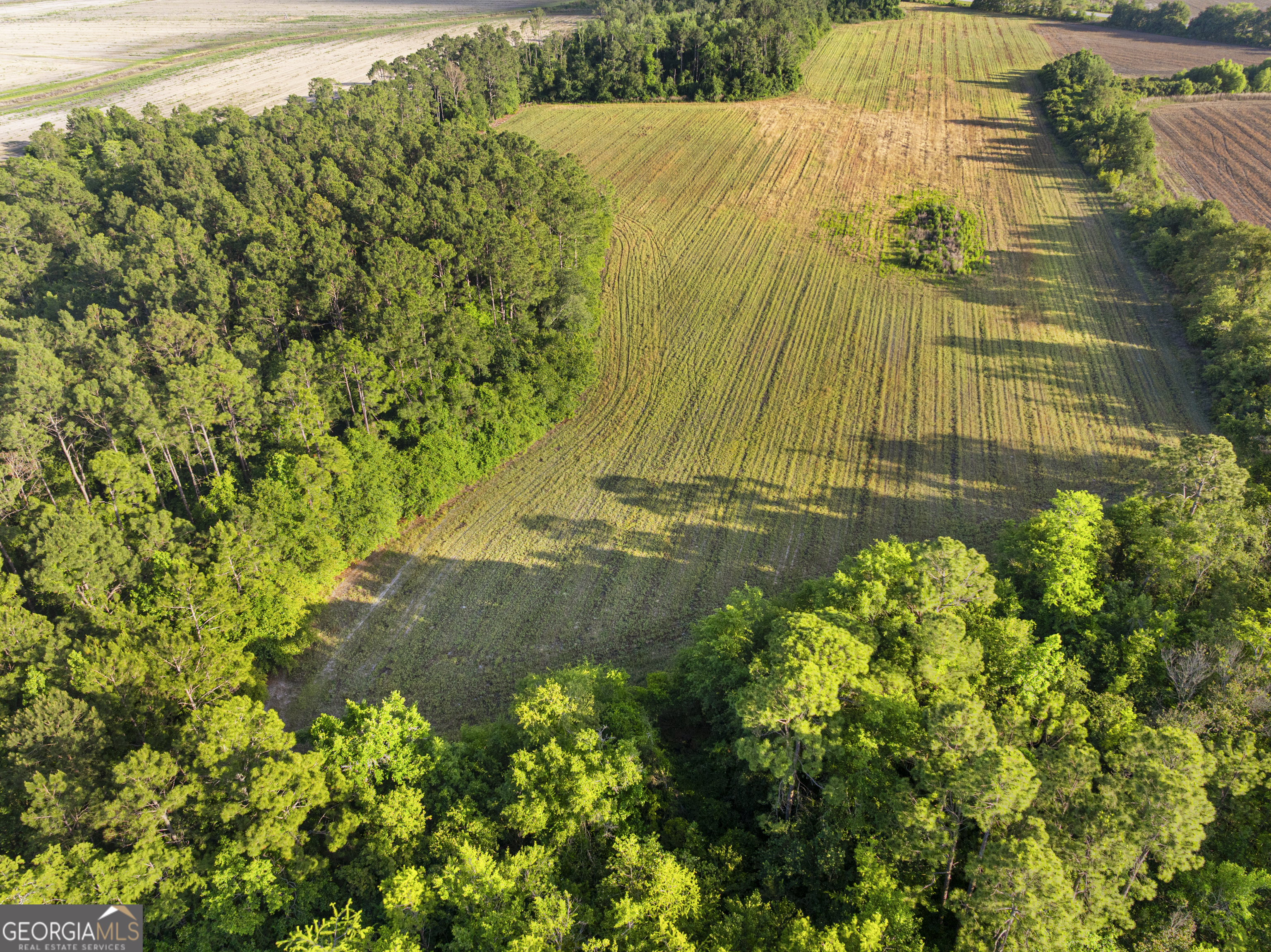 0 Douglas Highway Property Photo 43