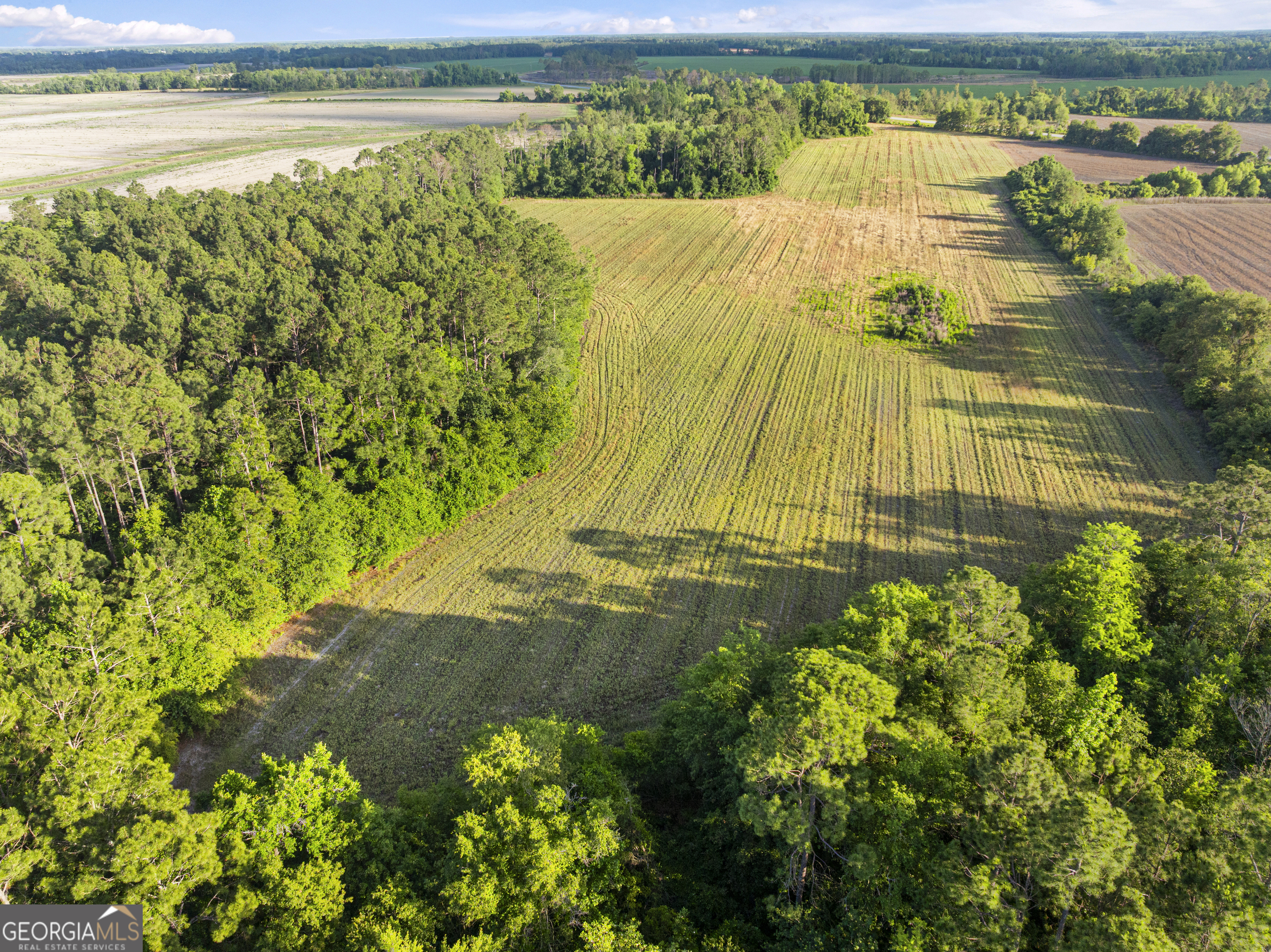 0 Douglas Highway Property Photo 44
