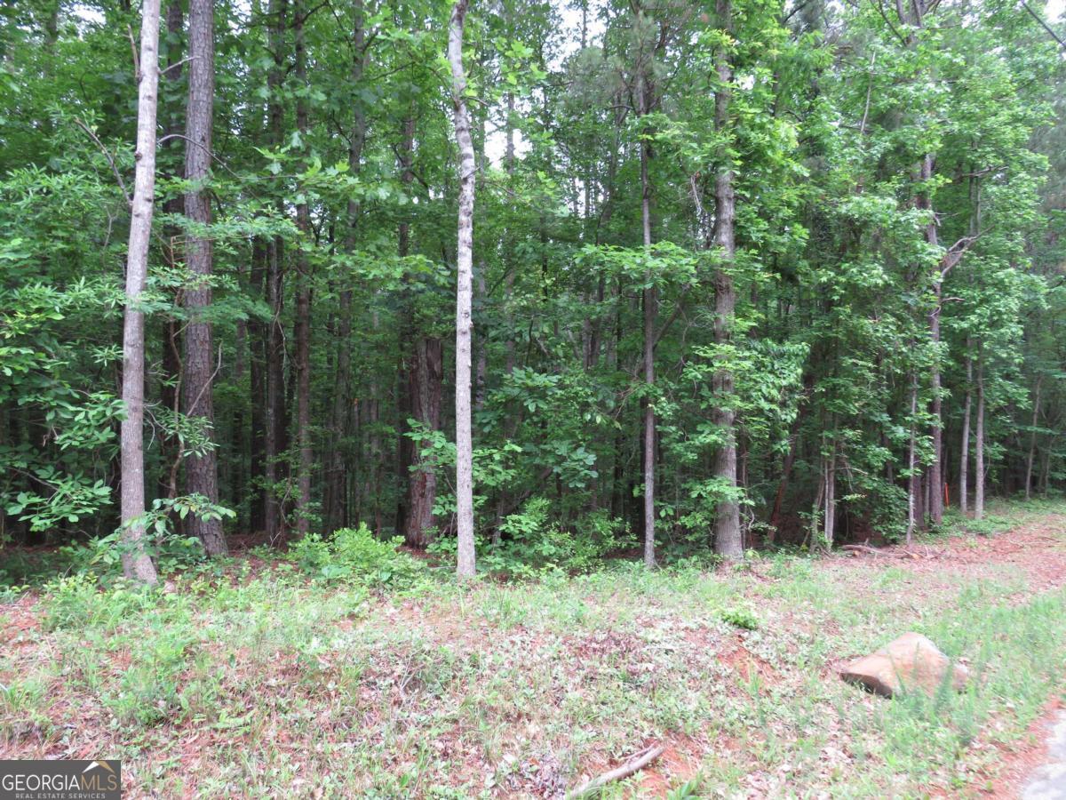 0 Doke Cohran Road Property Photo 1