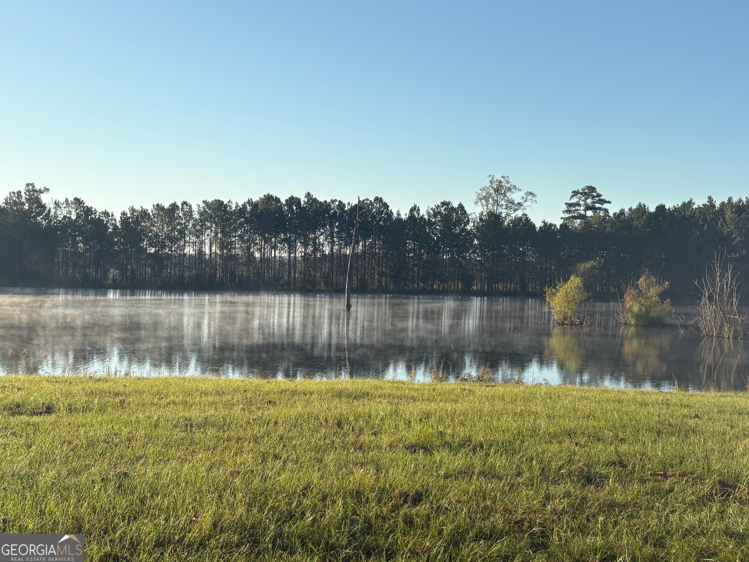 0 Sandy Creek Road Property Photo 5