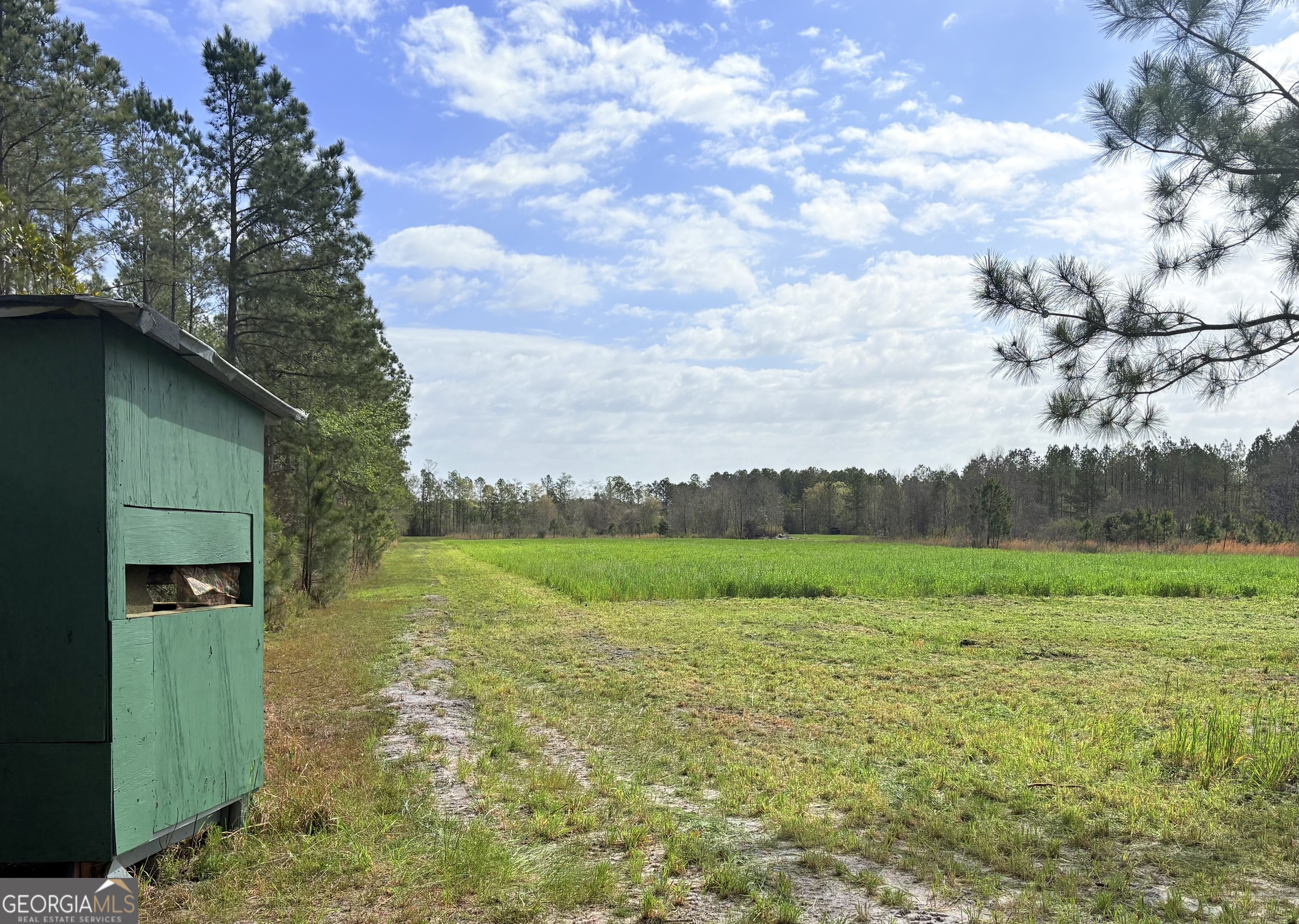 0 Sandy Creek Road Property Photo 22