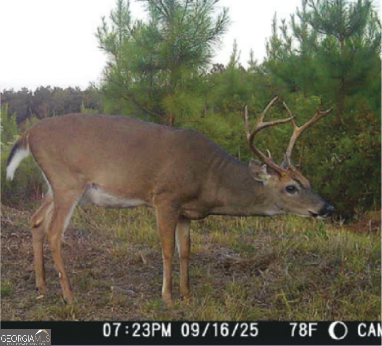 0 Sandy Creek Road Property Photo 24