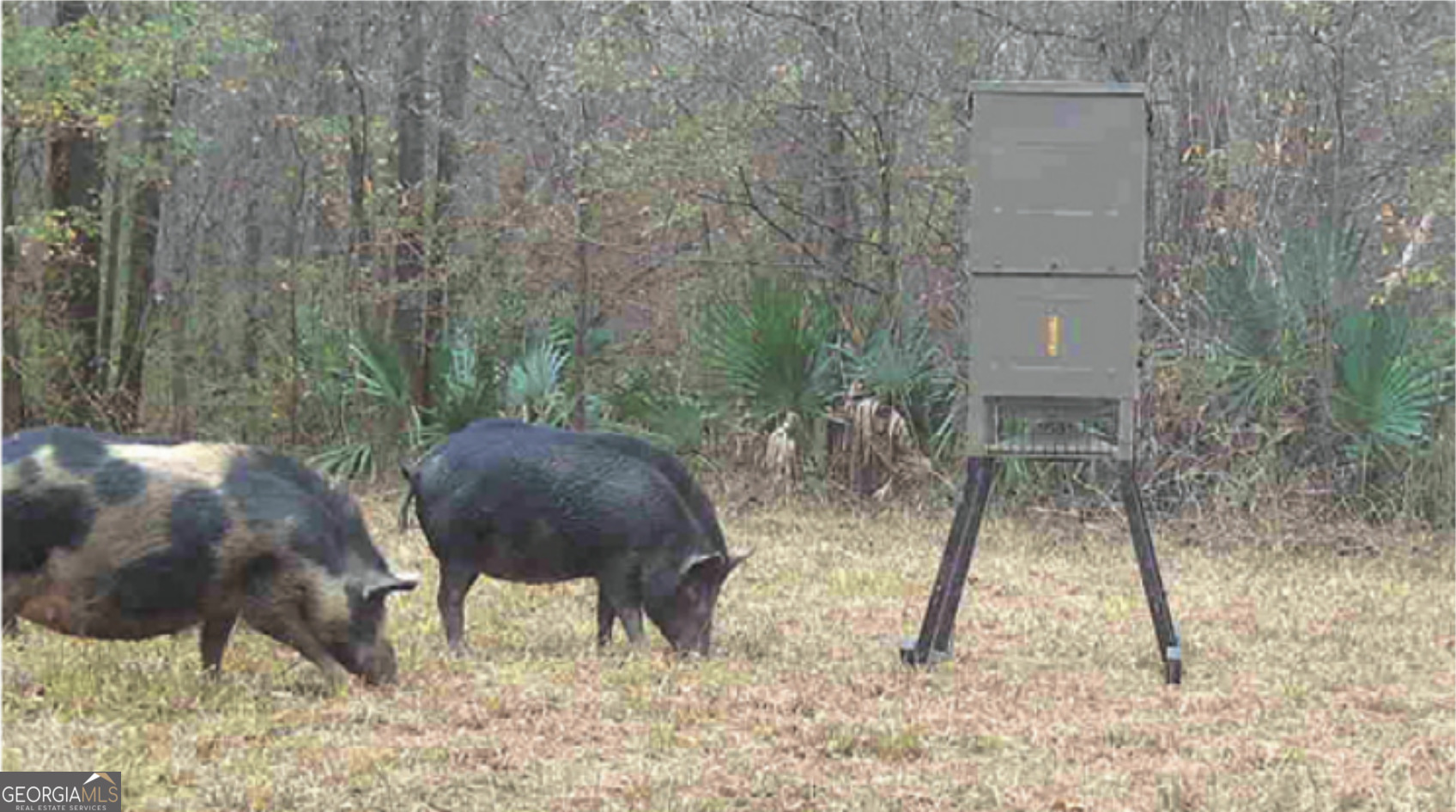0 Sandy Creek Road Property Photo 26
