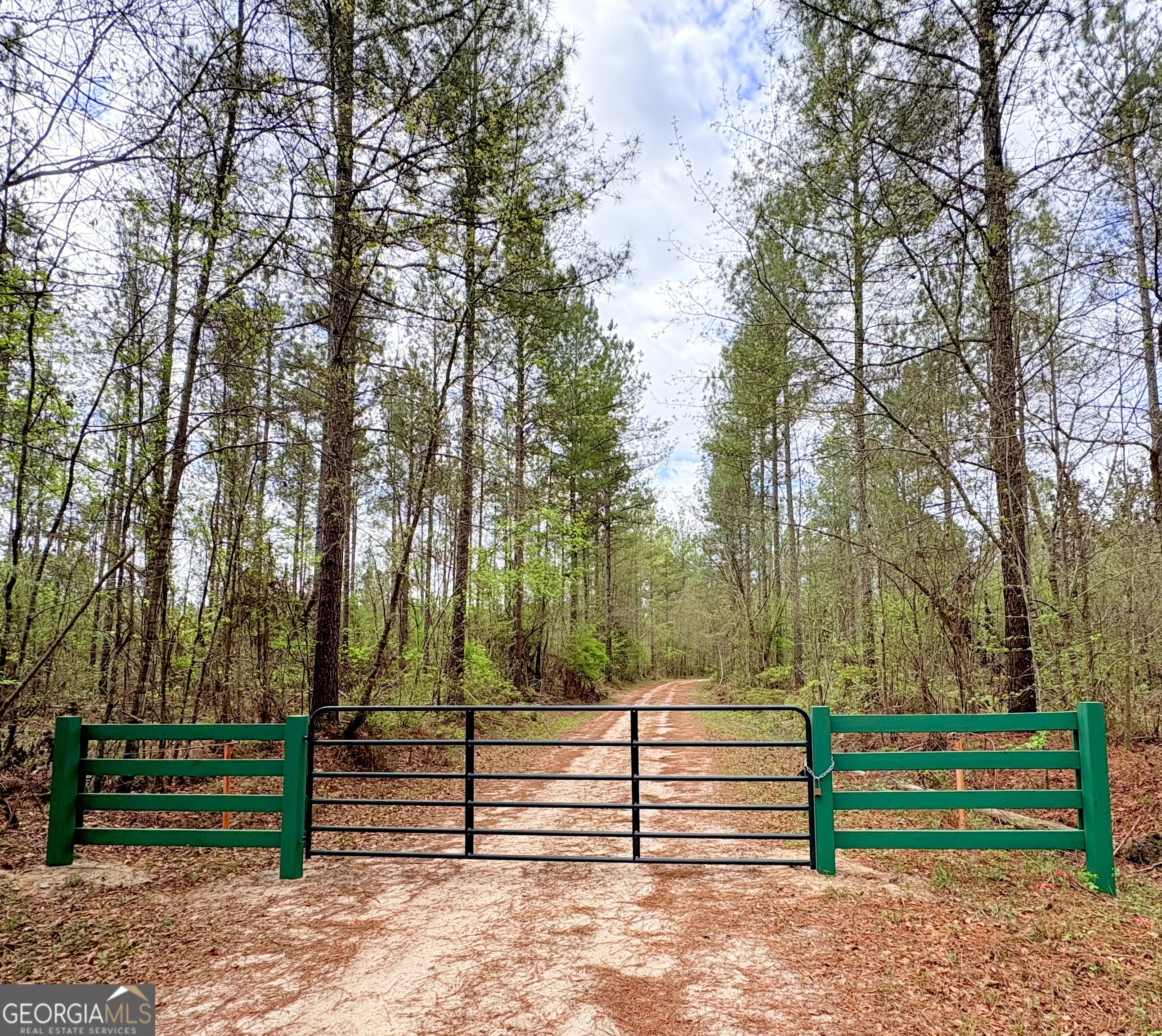 0 Sandy Creek Road Property Photo 29