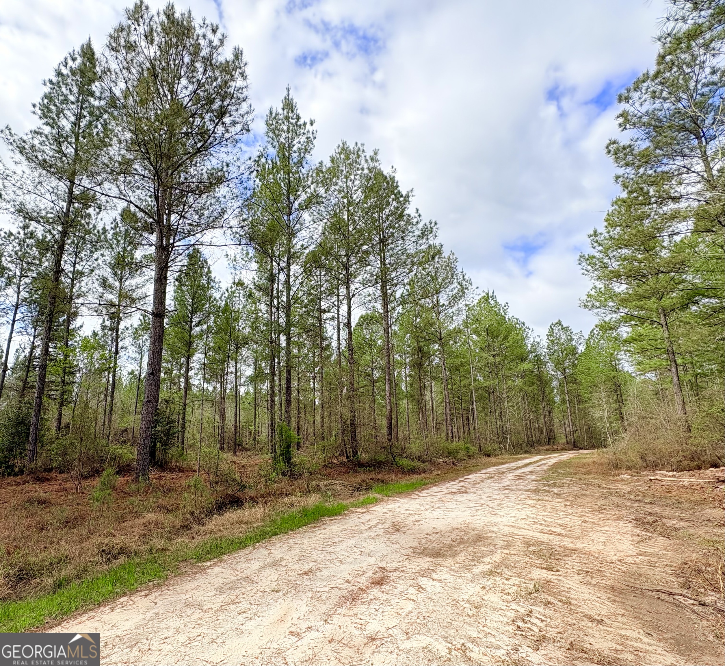 0 Sandy Creek Road Property Photo 30