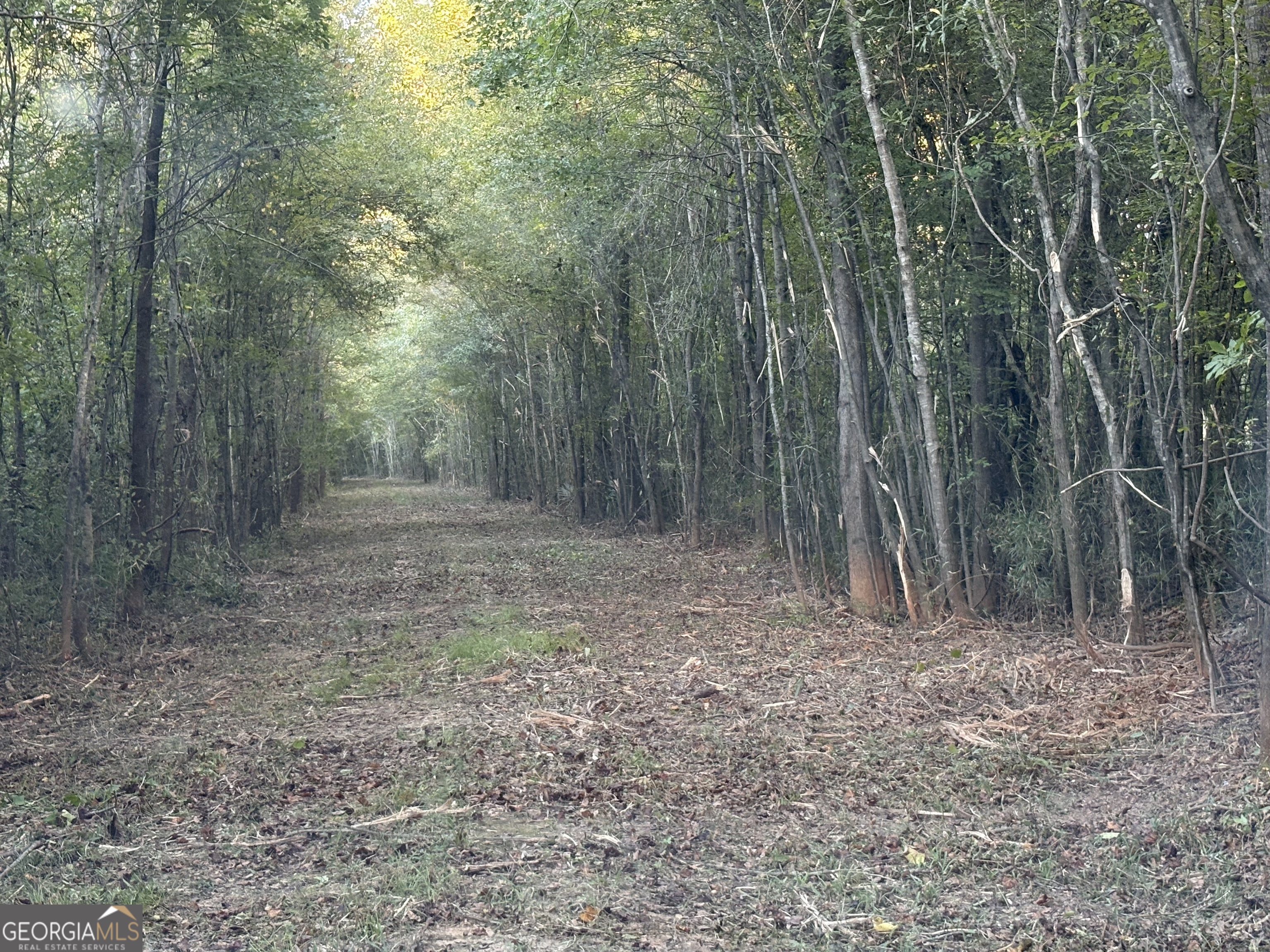 0 Sandy Creek Road Property Photo 32