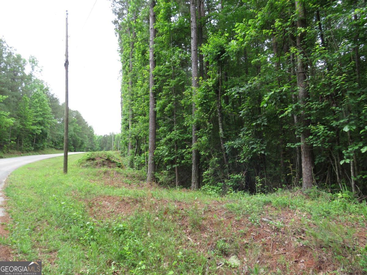 0 Doke Cohran Road Property Photo 1