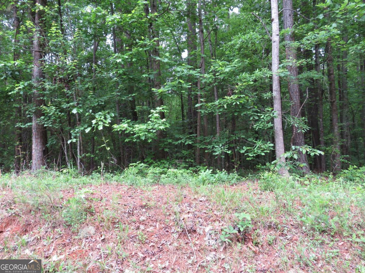 0 Doke Cohran Road Property Photo 6