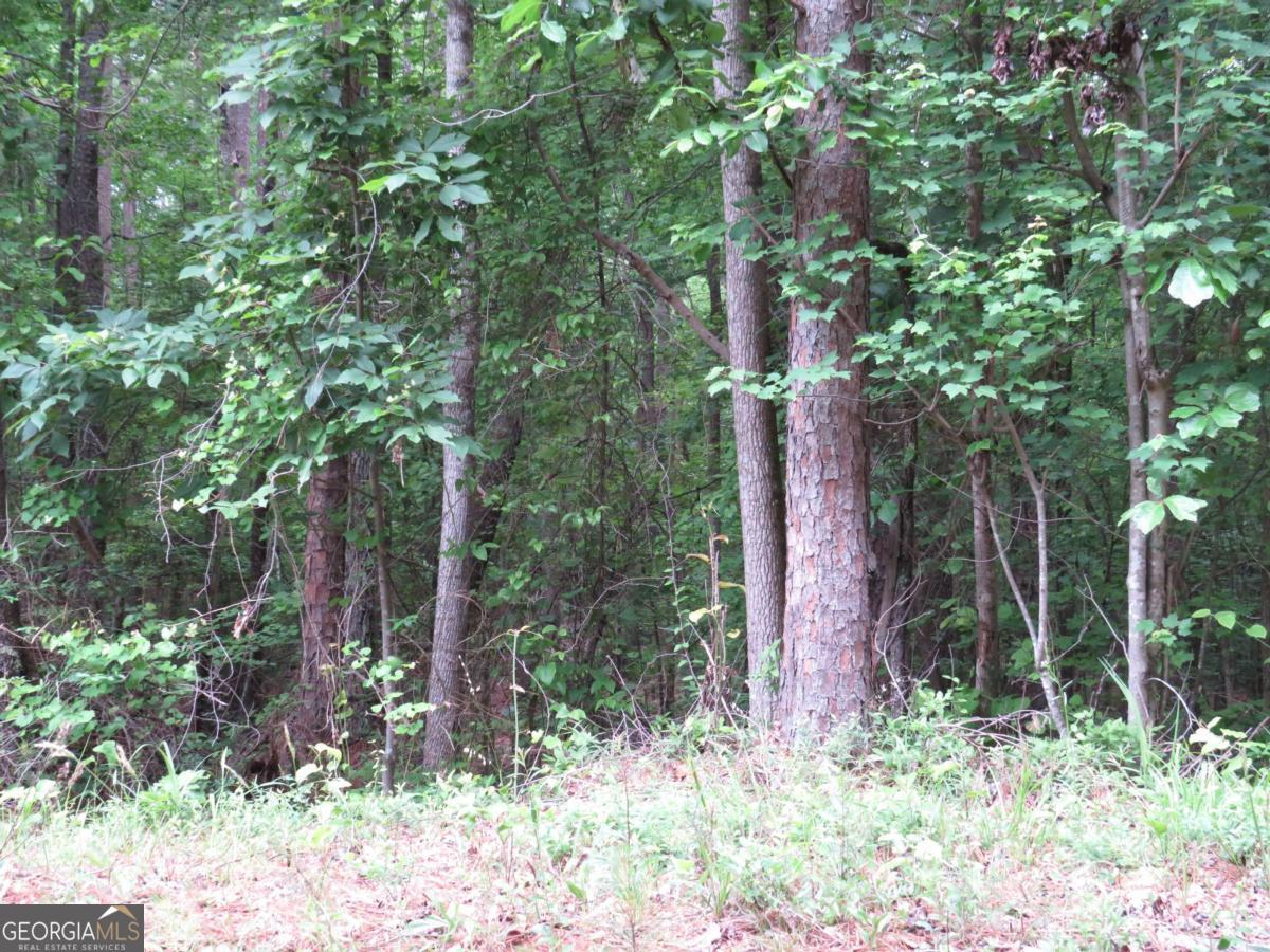0 Doke Cohran Road Property Photo 8