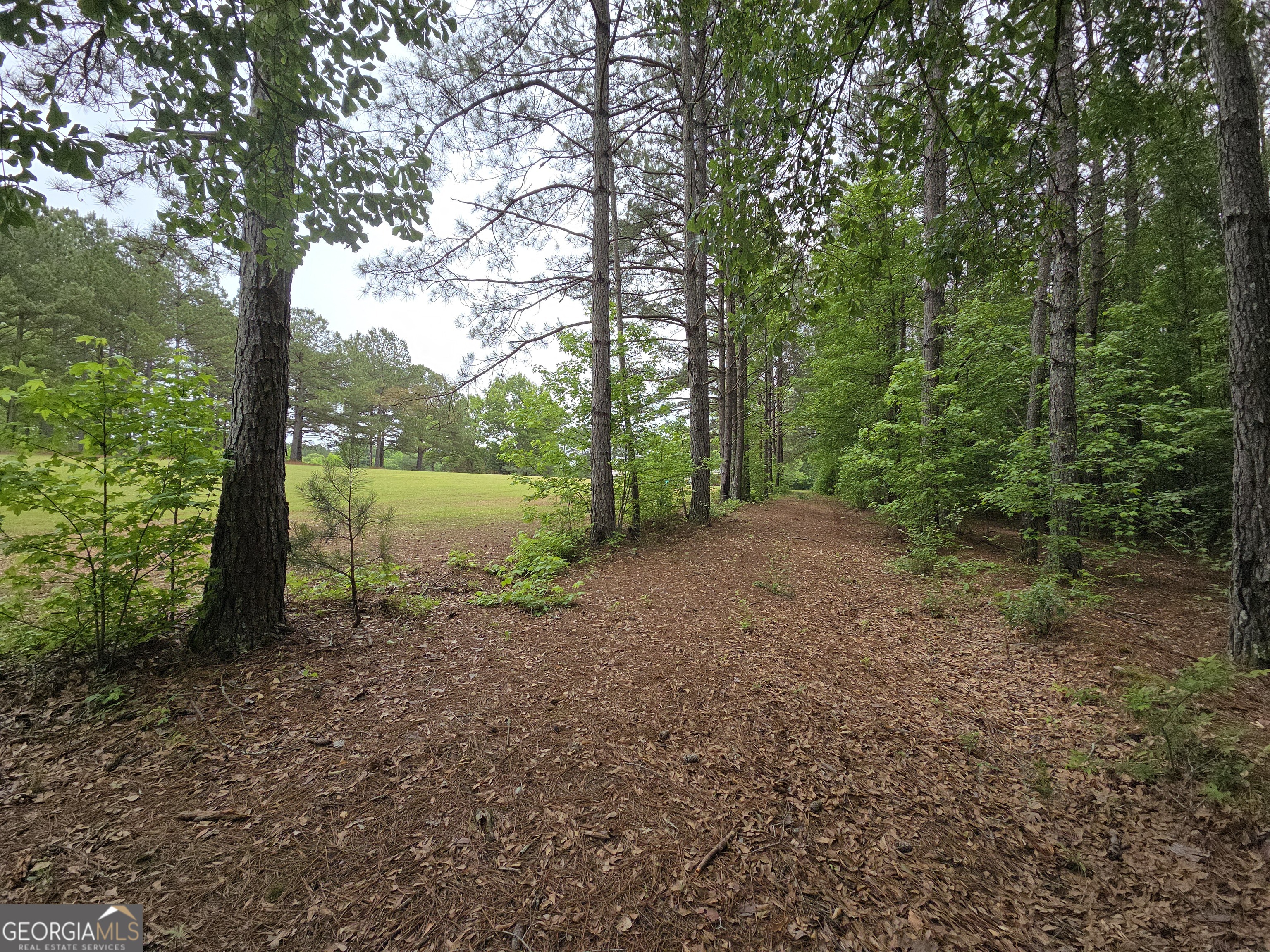 395 E Milner Road Property Photo 57