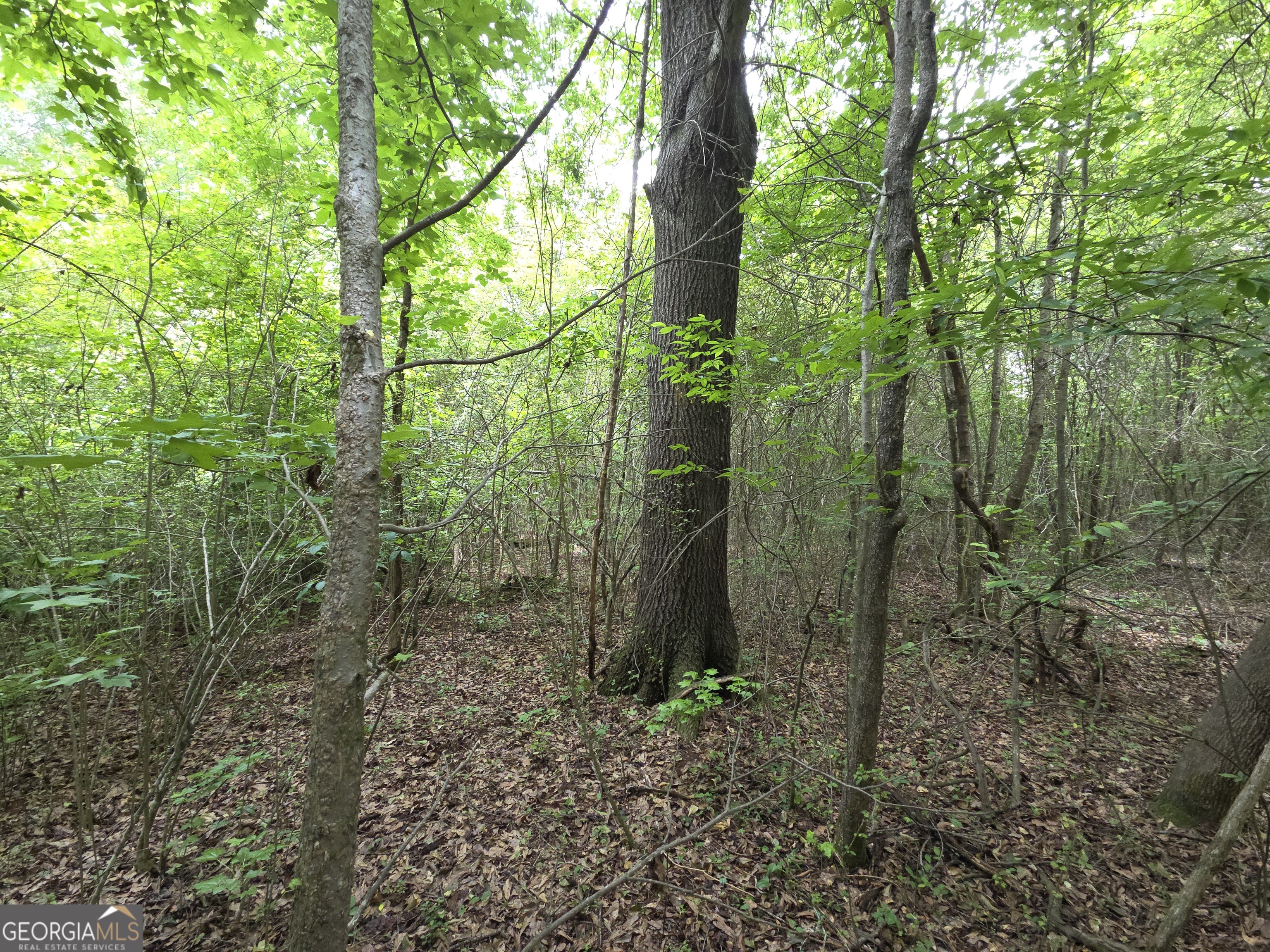 395 E Milner Road Property Photo 60