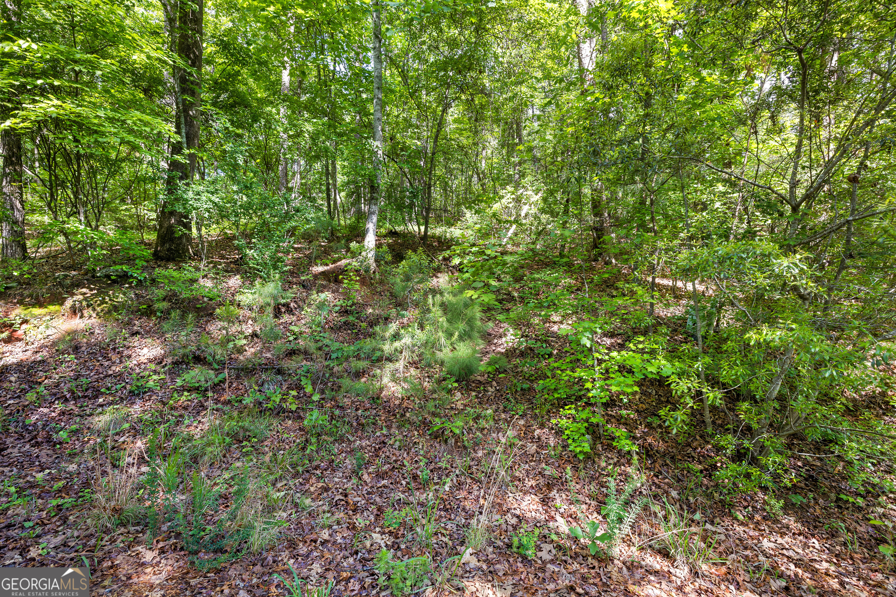721 Rausch Ridge Property Photo 9