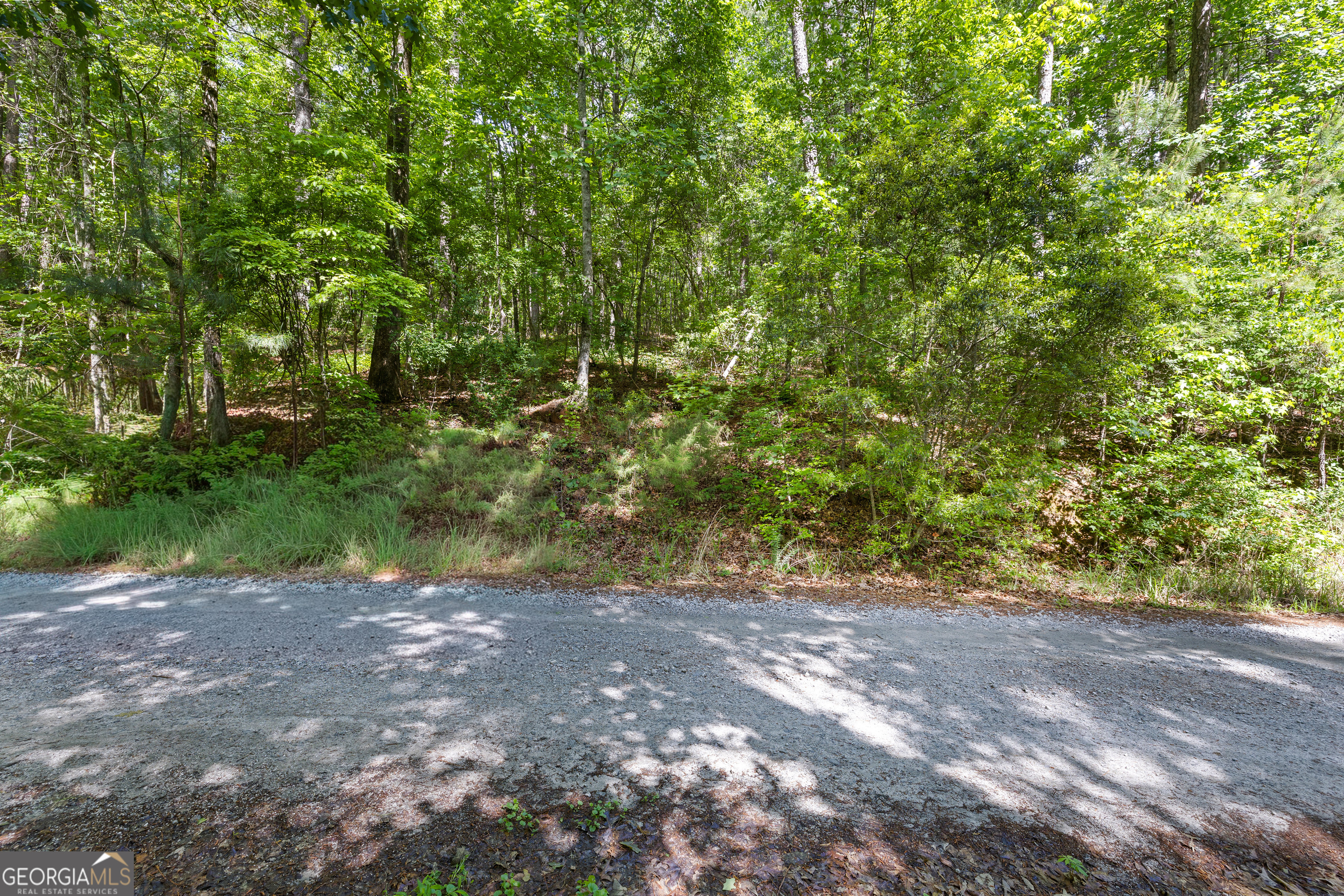 721 Rausch Ridge Property Photo 10
