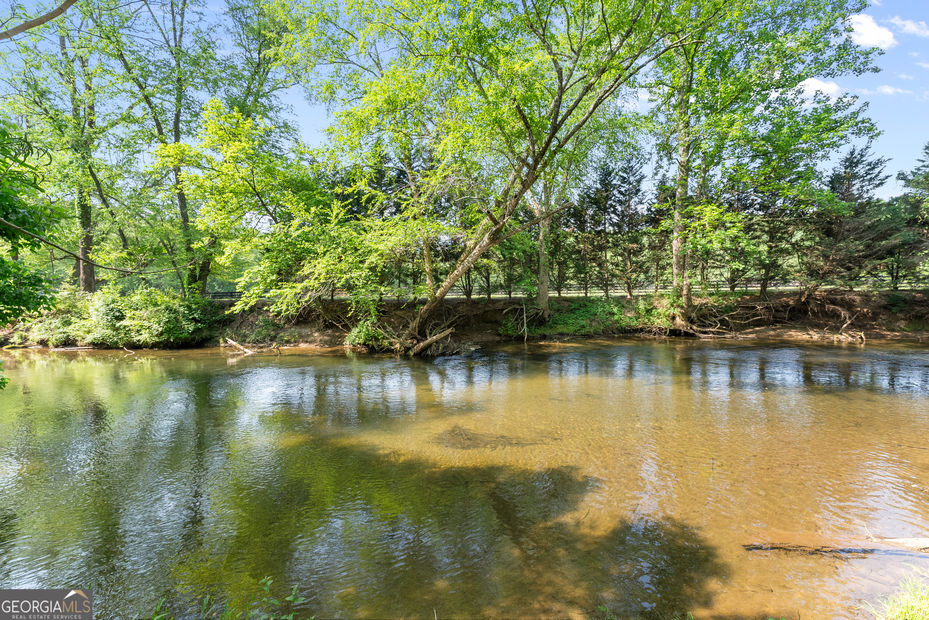 1304 Highway 17 Property Photo 25