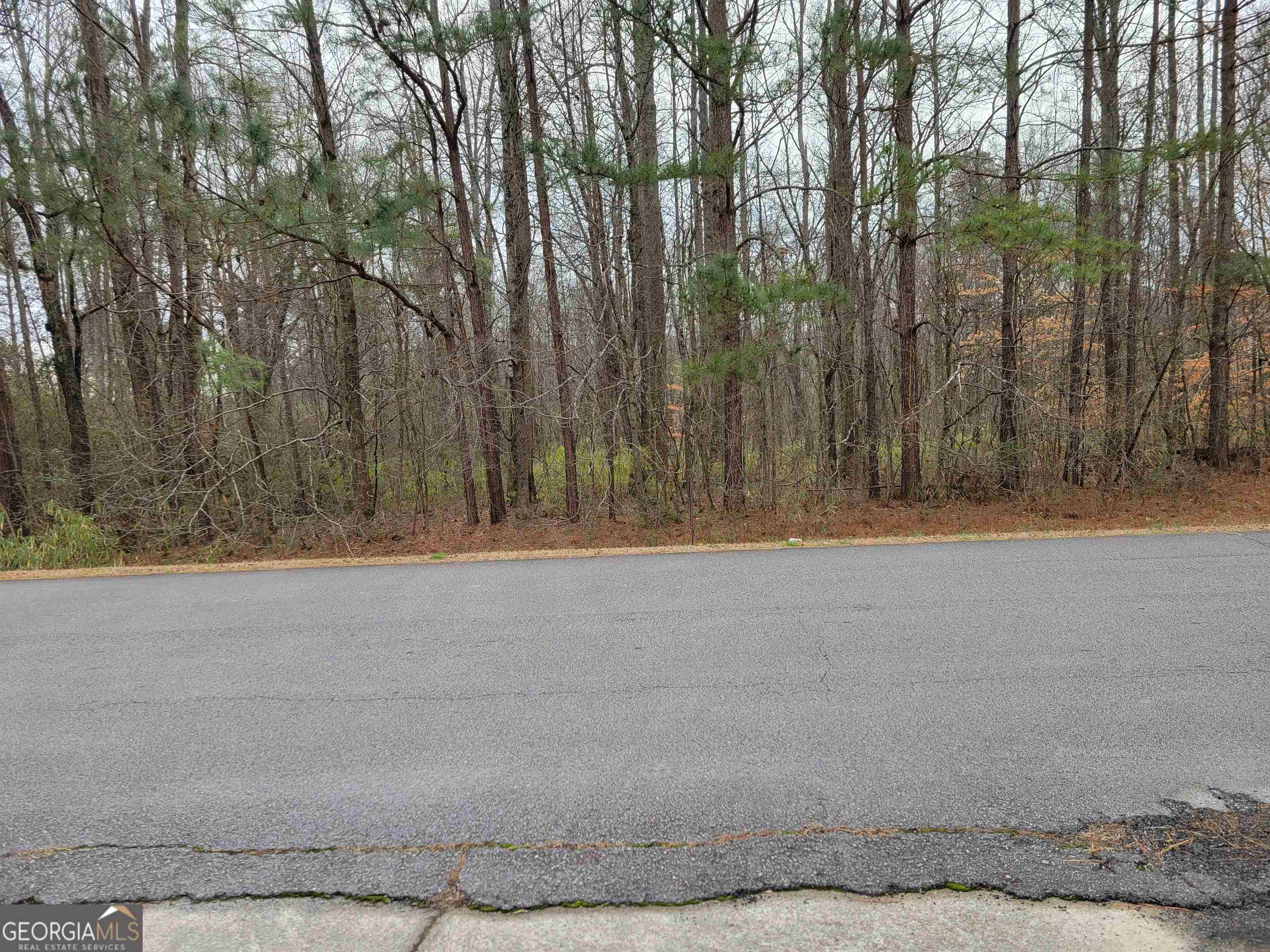 0 Lakeridge Drive Property Photo 3