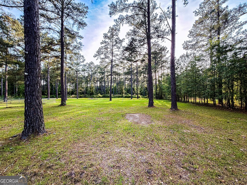 353 Alapaha River Drive Property Photo 41