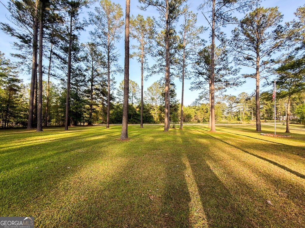 353 Alapaha River Drive Property Photo 42