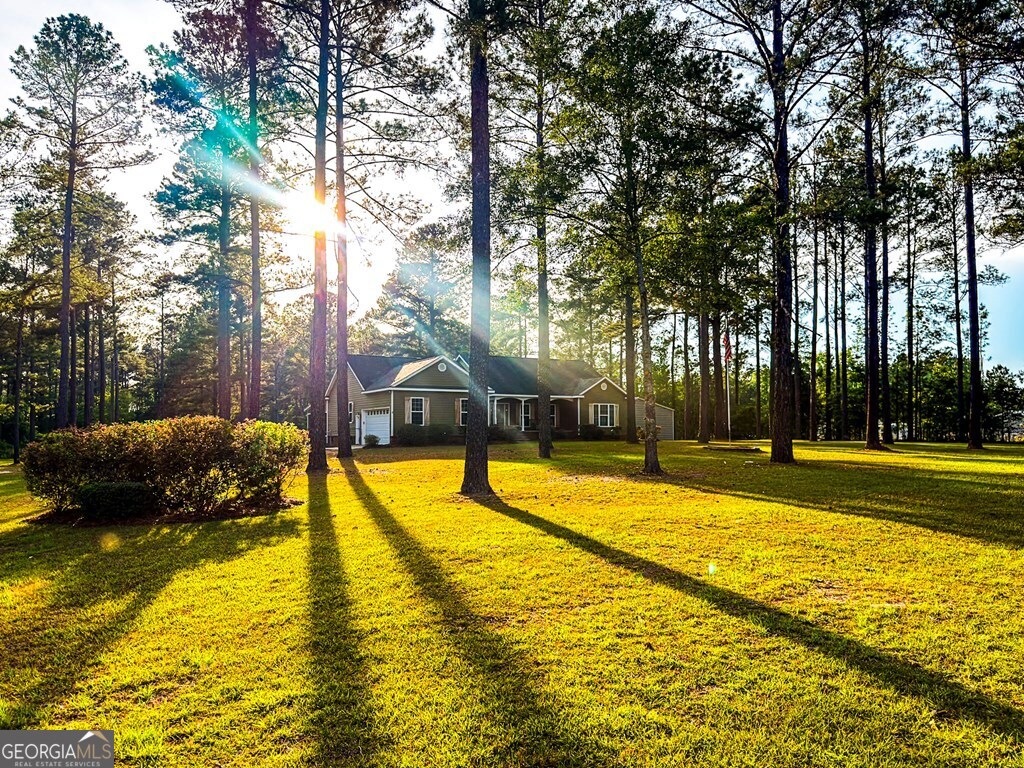 353 Alapaha River Drive Property Photo 45