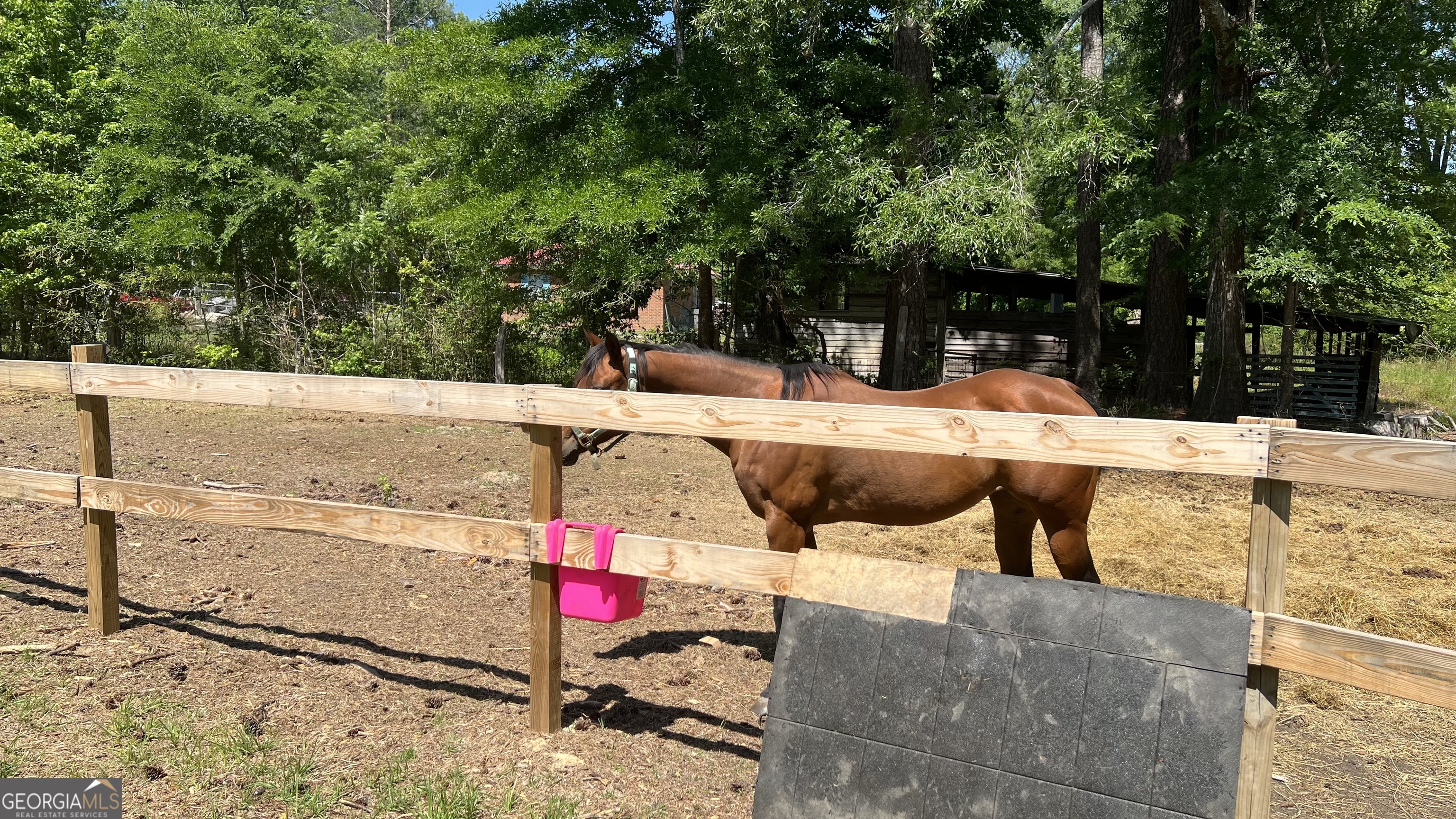 1065 Nathan Jones Property Photo 16