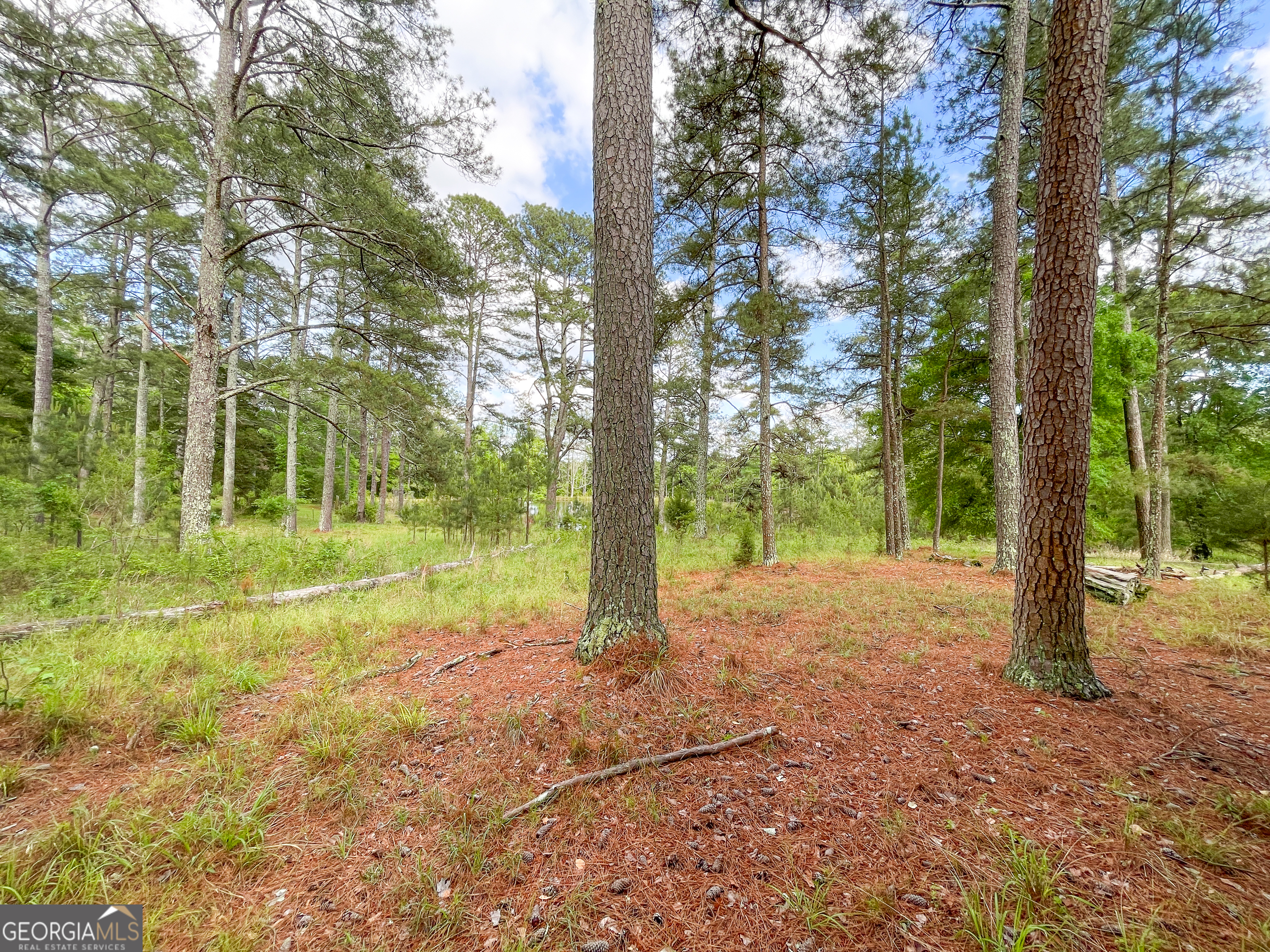 7517 Blacks Bluff Road Sw Property Photo 47