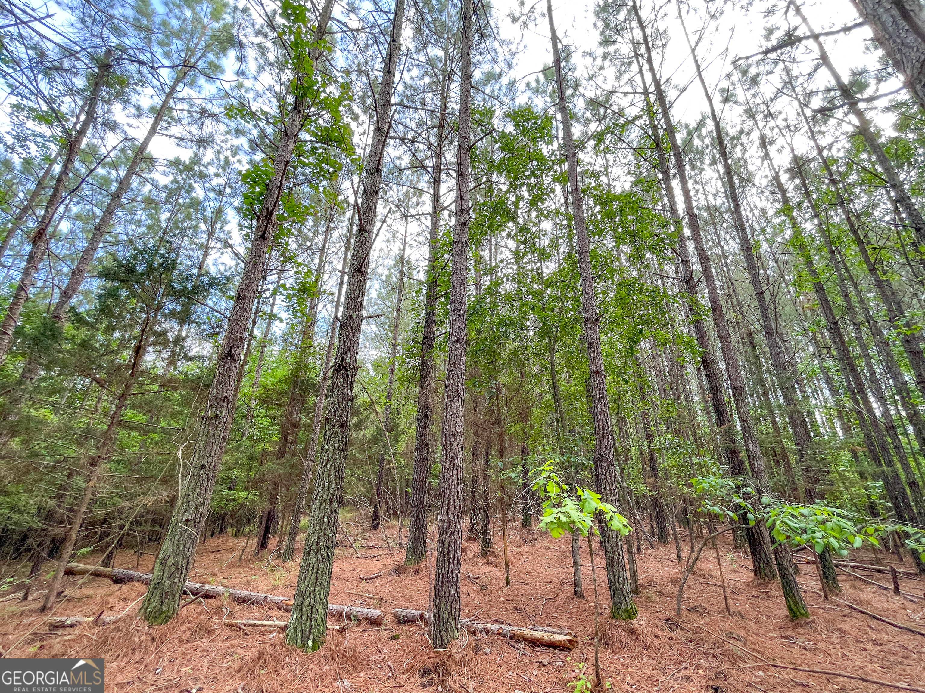 7517 Blacks Bluff Road Sw Property Photo 50