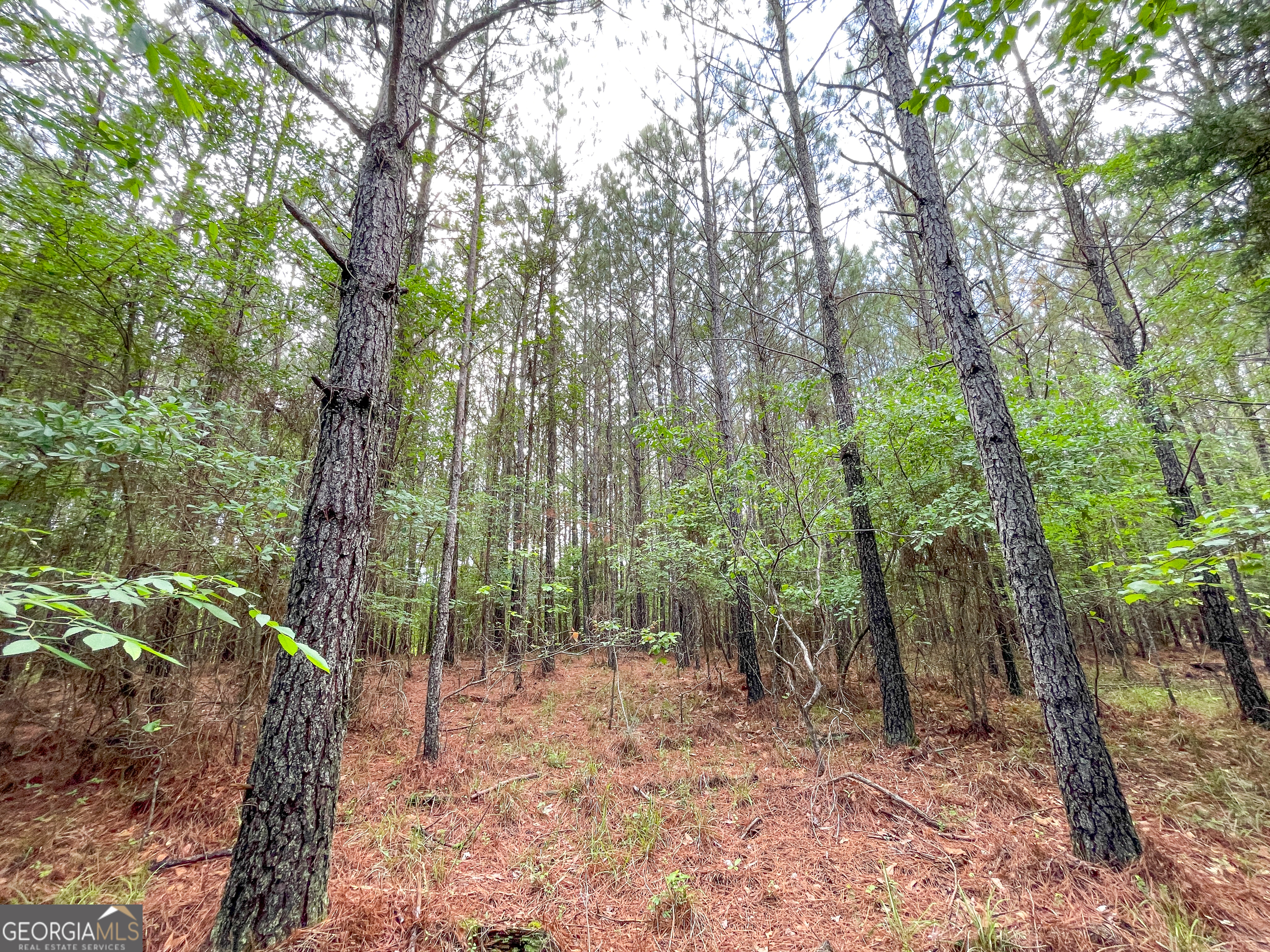 7517 Blacks Bluff Road Sw Property Photo 54