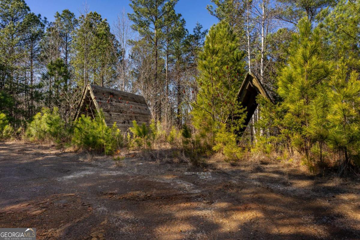 825 Young Loop Property Photo 30