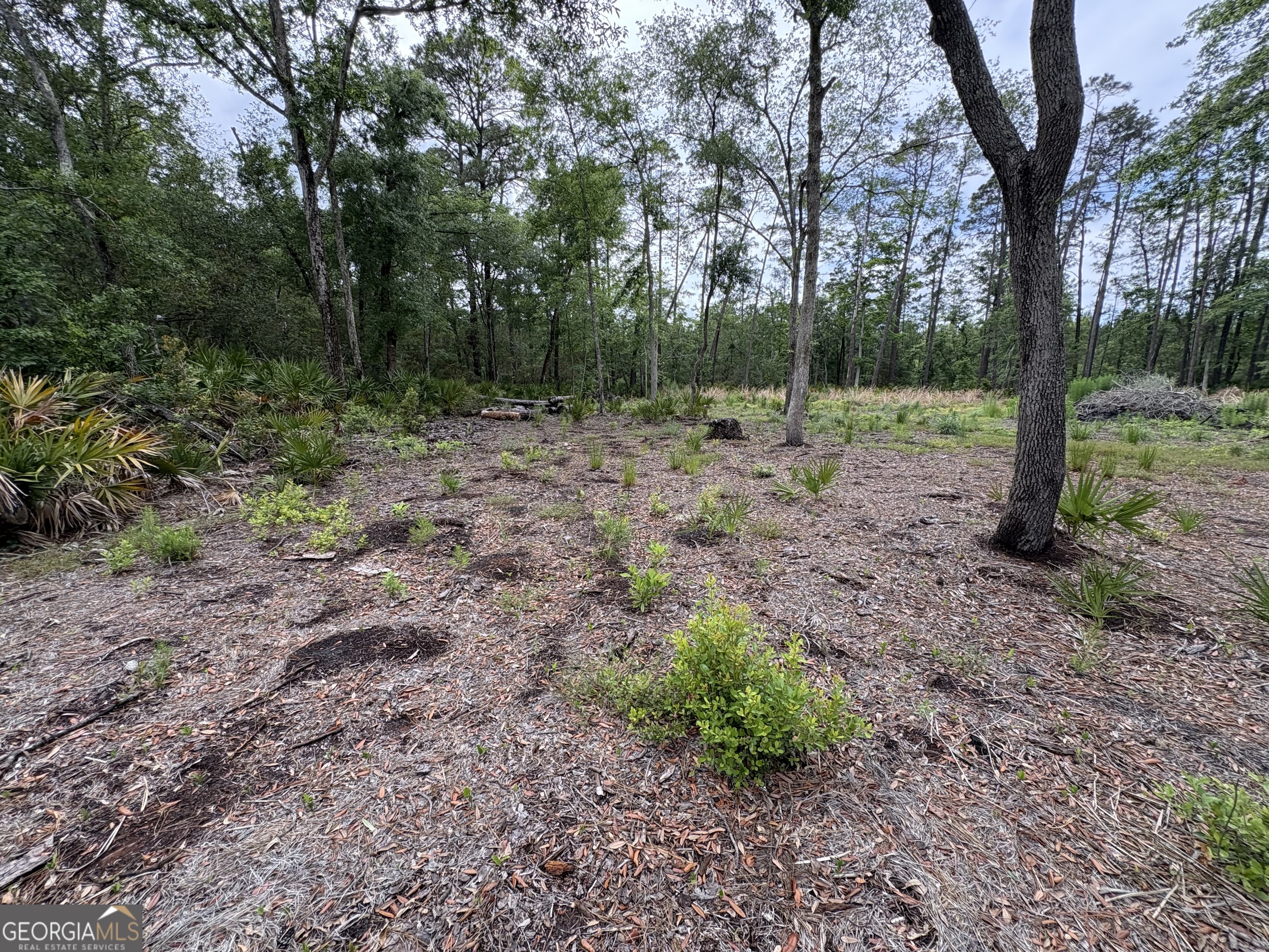 0 Piney Bluff Lot 5 Road Property Photo 2