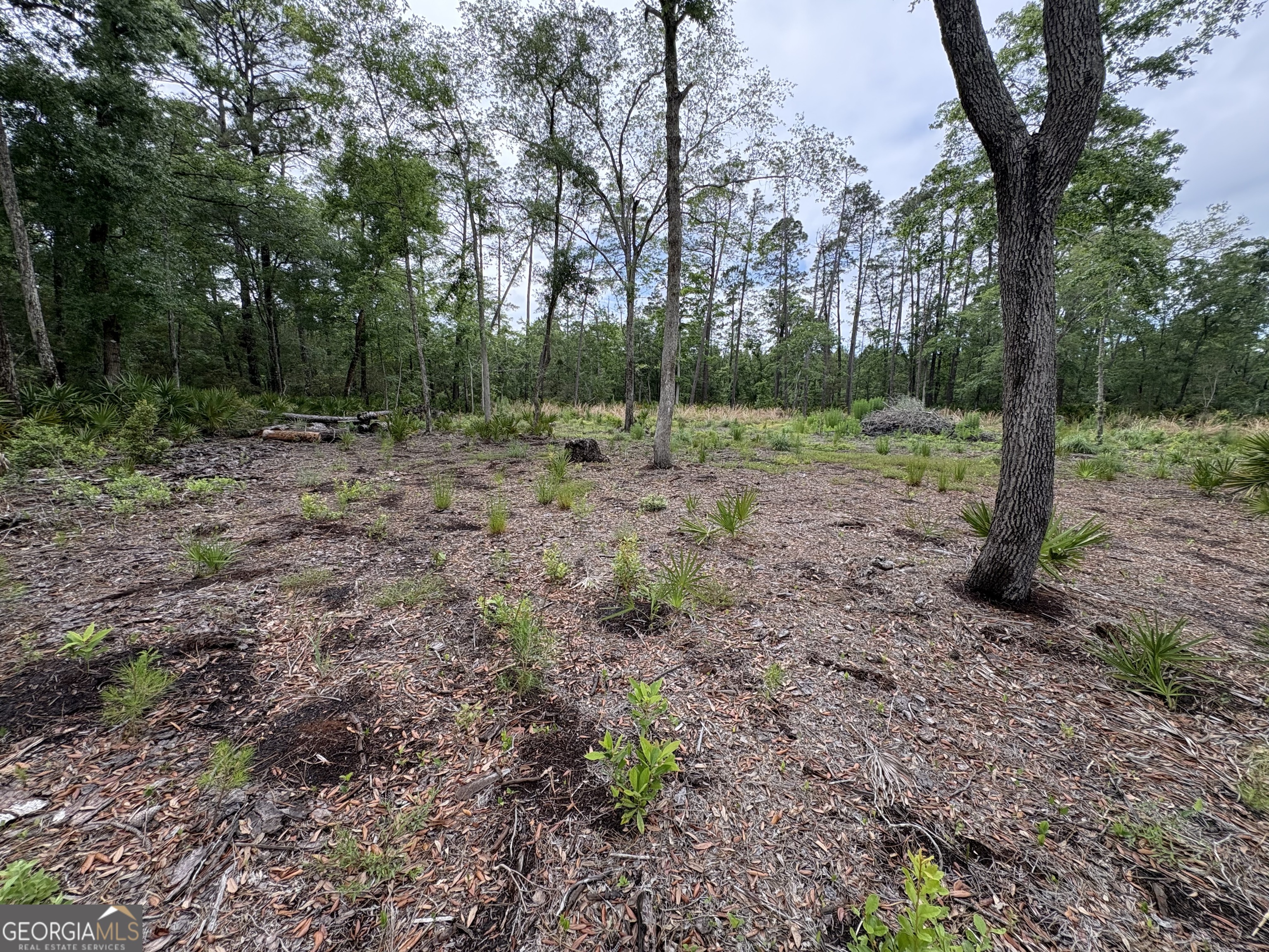 0 Piney Bluff Lot 5 Road Property Photo 5