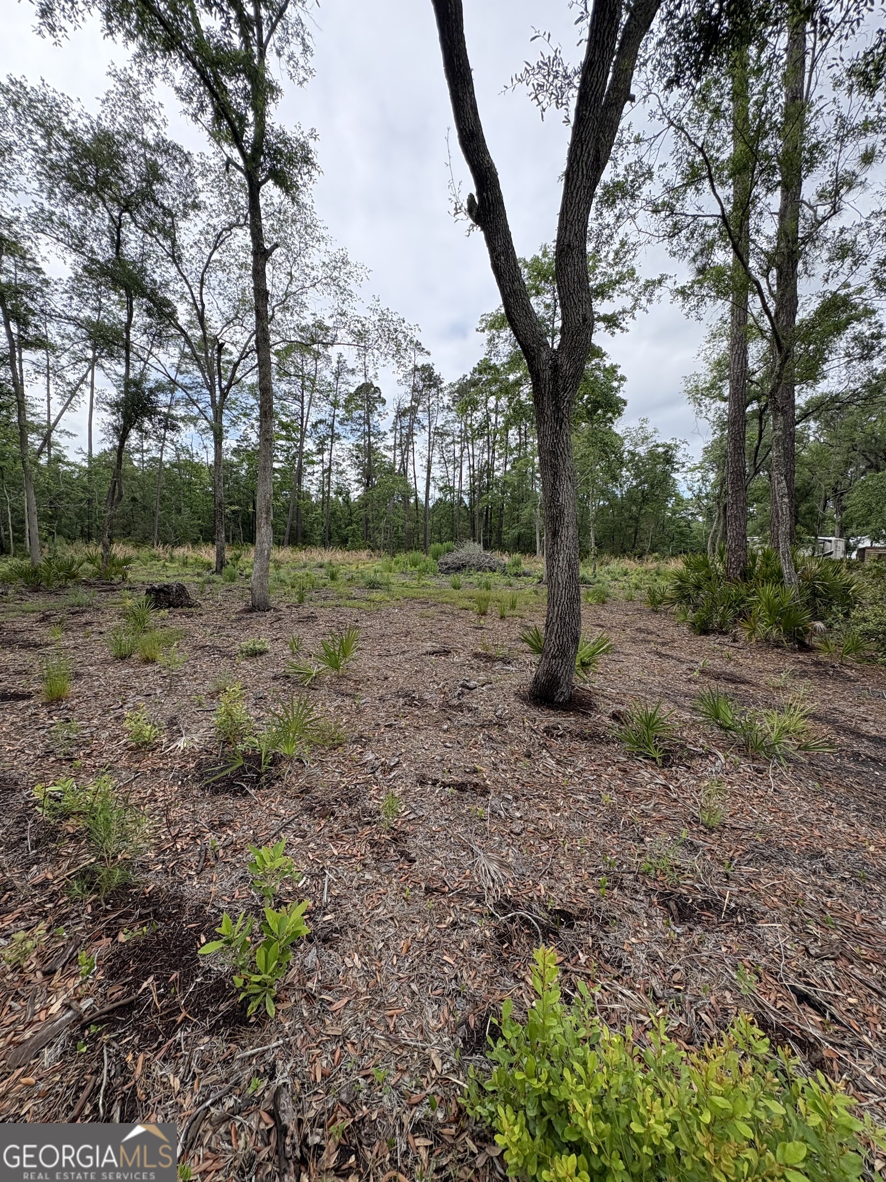 0 Piney Bluff Lot 5 Road Property Photo 6