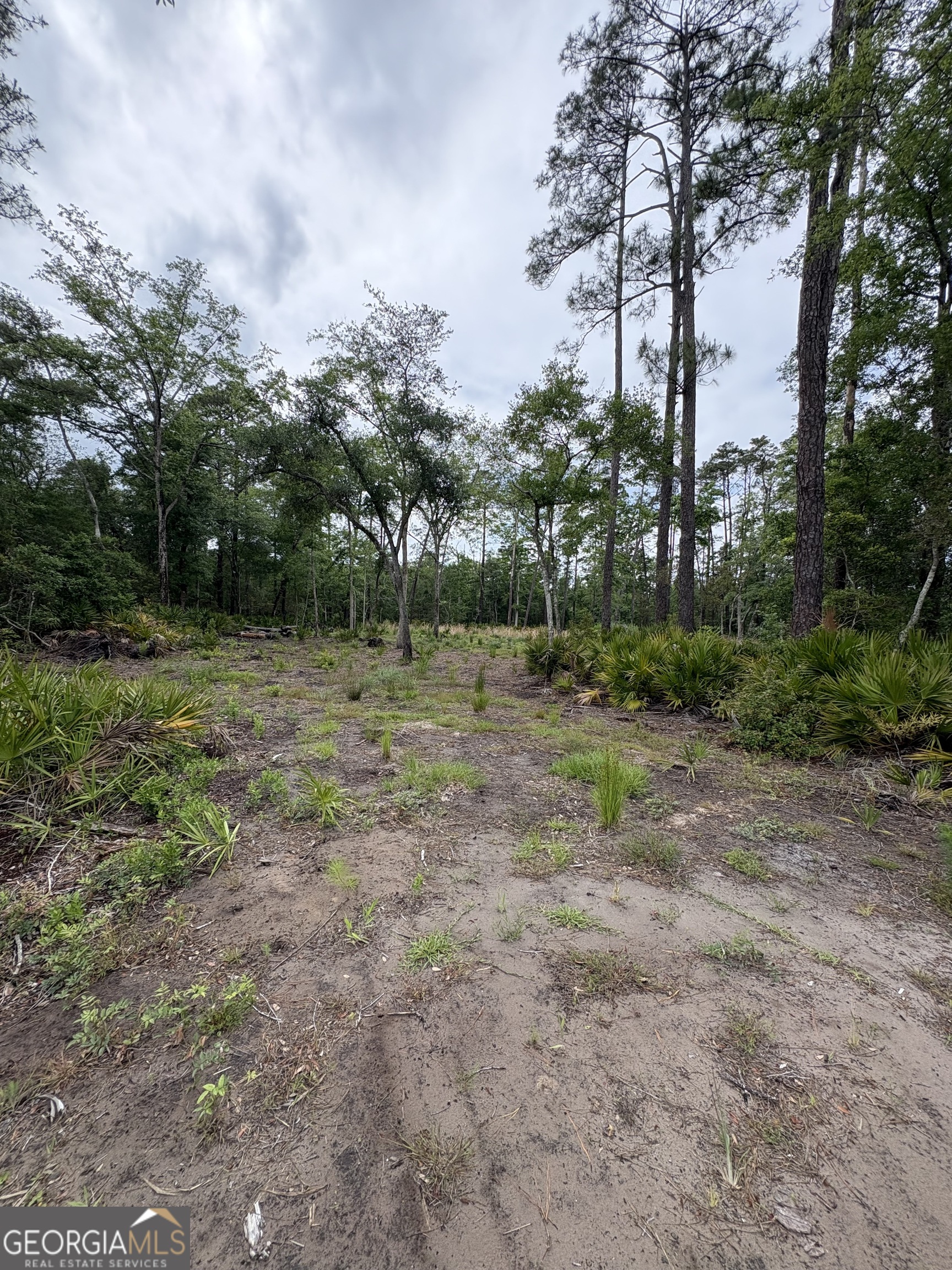 0 Piney Bluff Lot 5 Road Property Photo 7