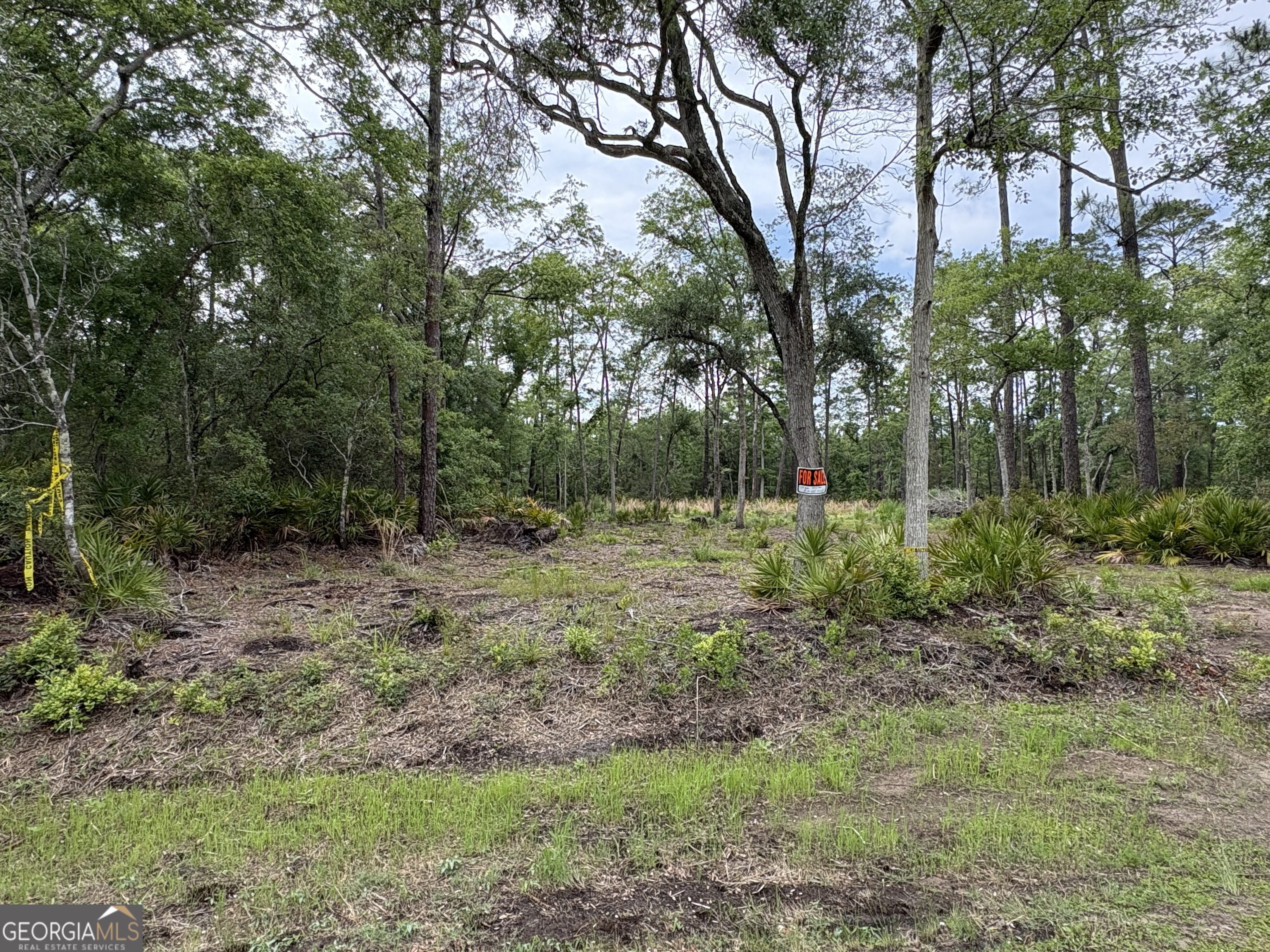 0 Piney Bluff Lot 5 Road Property Photo 8