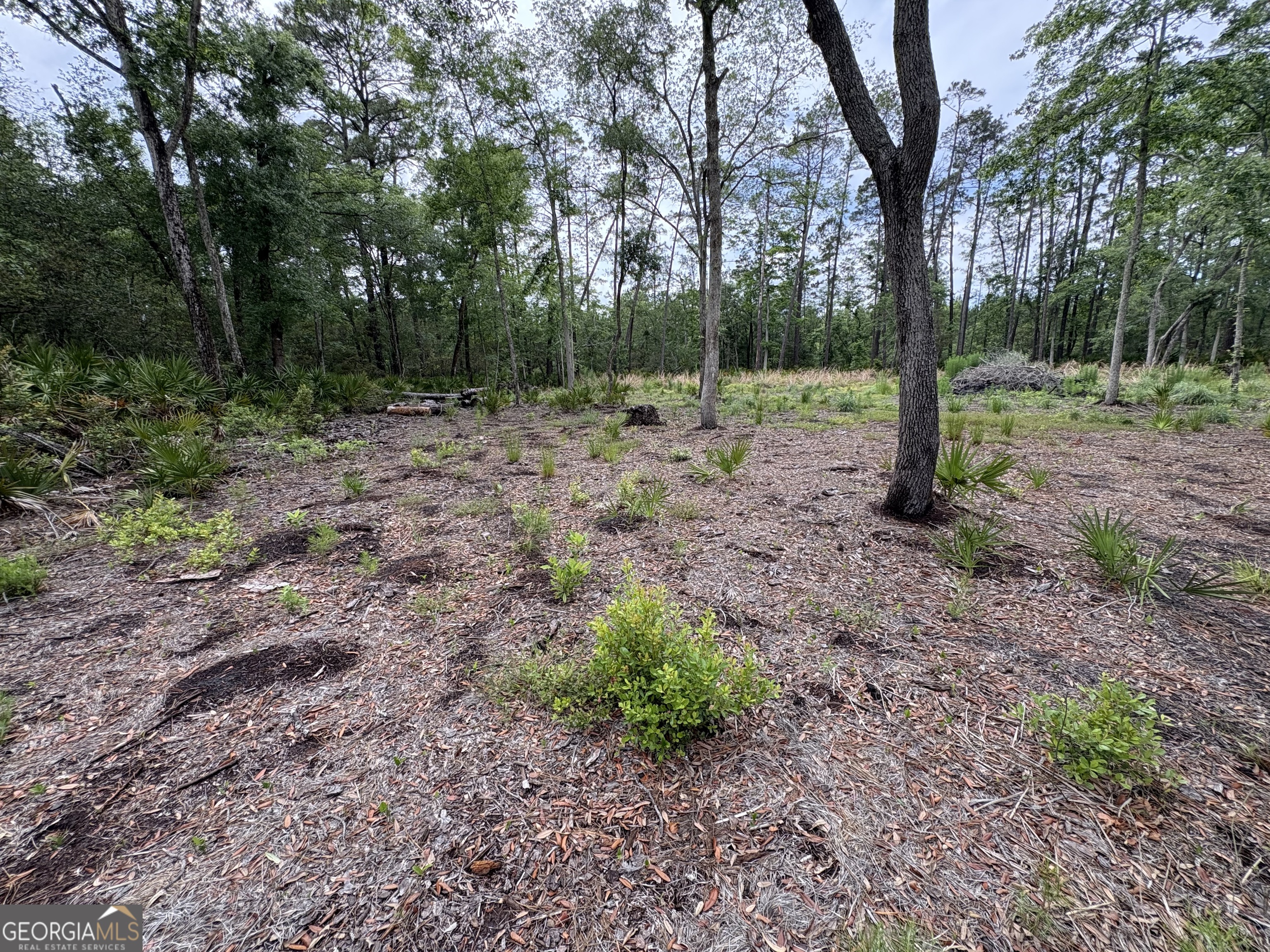 0 Piney Bluff Lot 5 Road Property Photo 9