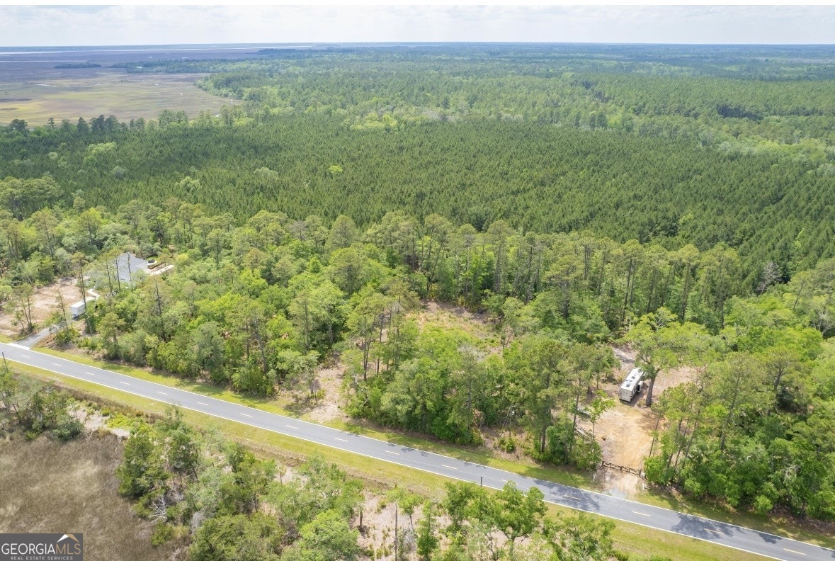 0 Piney Bluff Lot 5 Road Property Photo 14