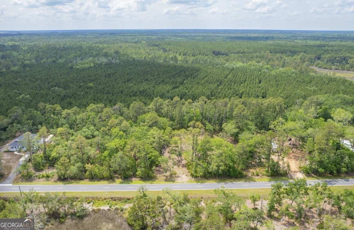 0 Piney Bluff Lot 5 Road Property Photo 18