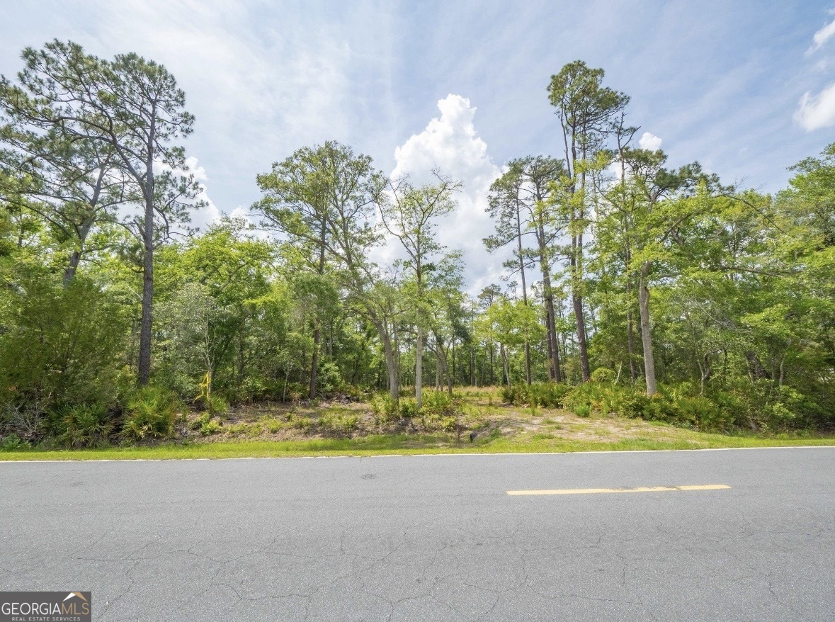 0 Piney Bluff Lot 5 Road Property Photo 21