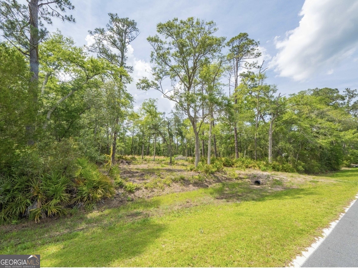 0 Piney Bluff Lot 5 Road Property Photo 22