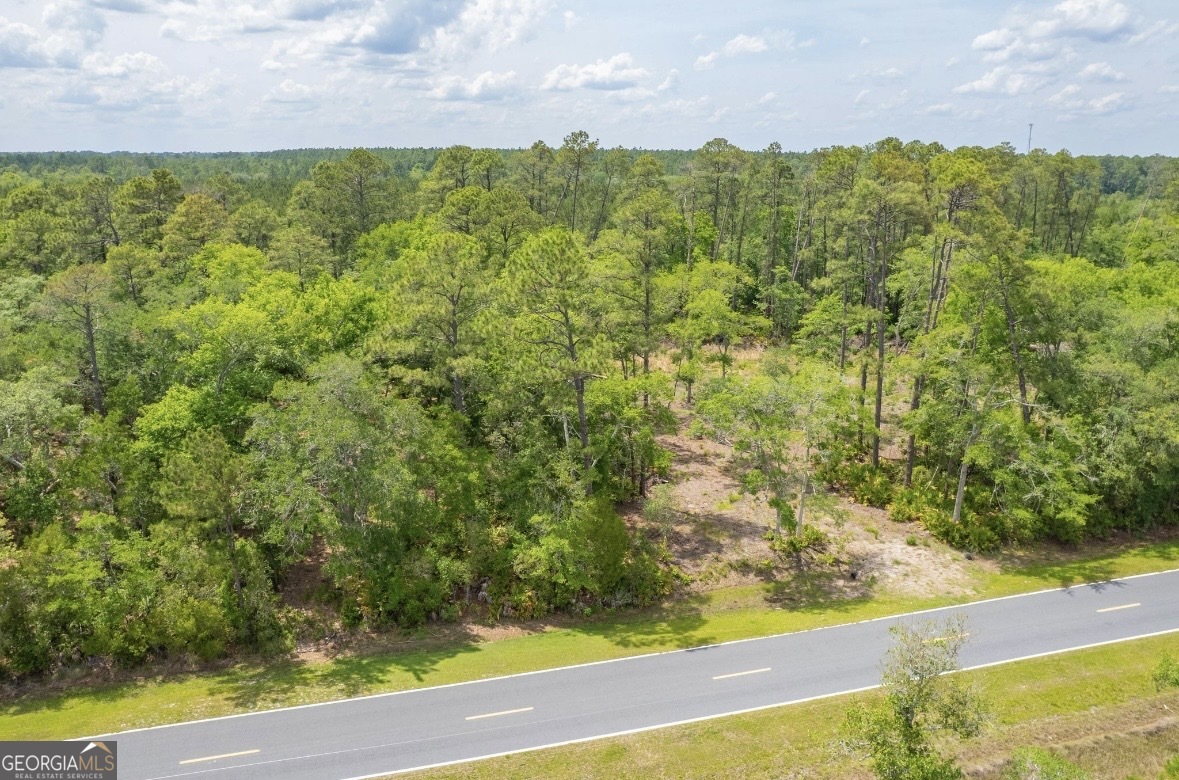 0 Piney Bluff Lot 5 Road Property Photo 23