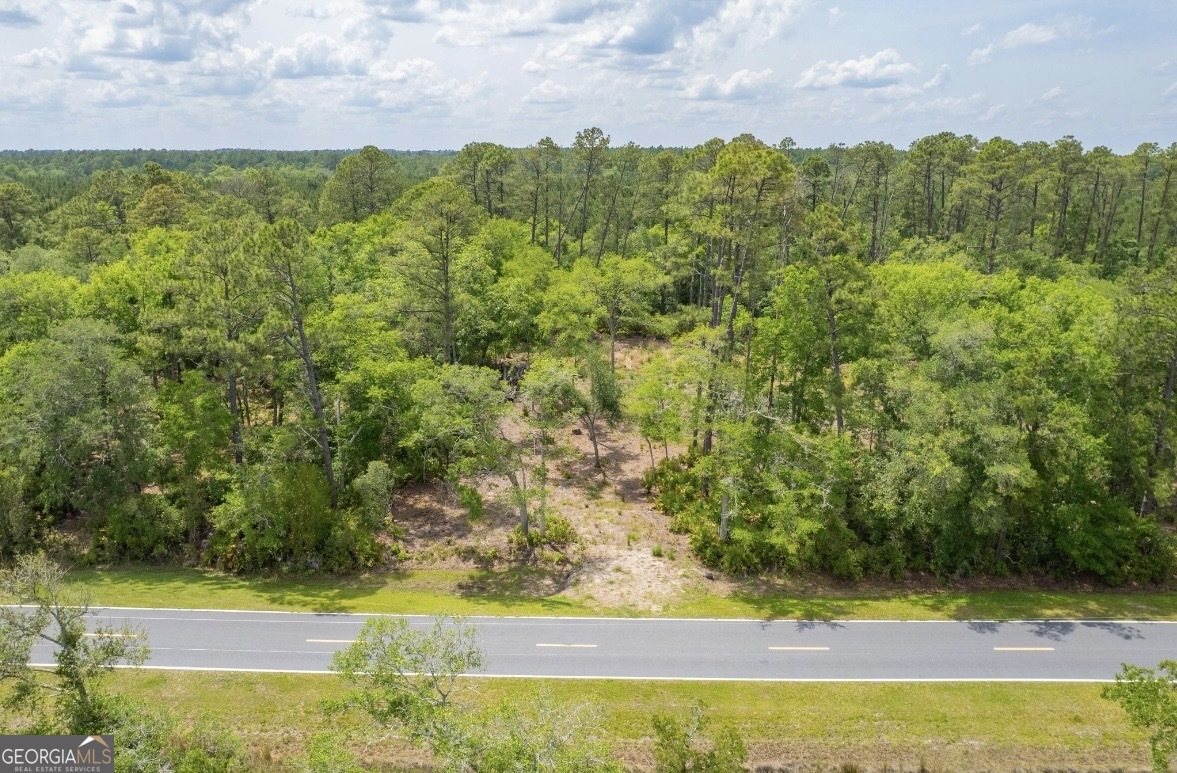 0 Piney Bluff Lot 5 Road Property Photo 24