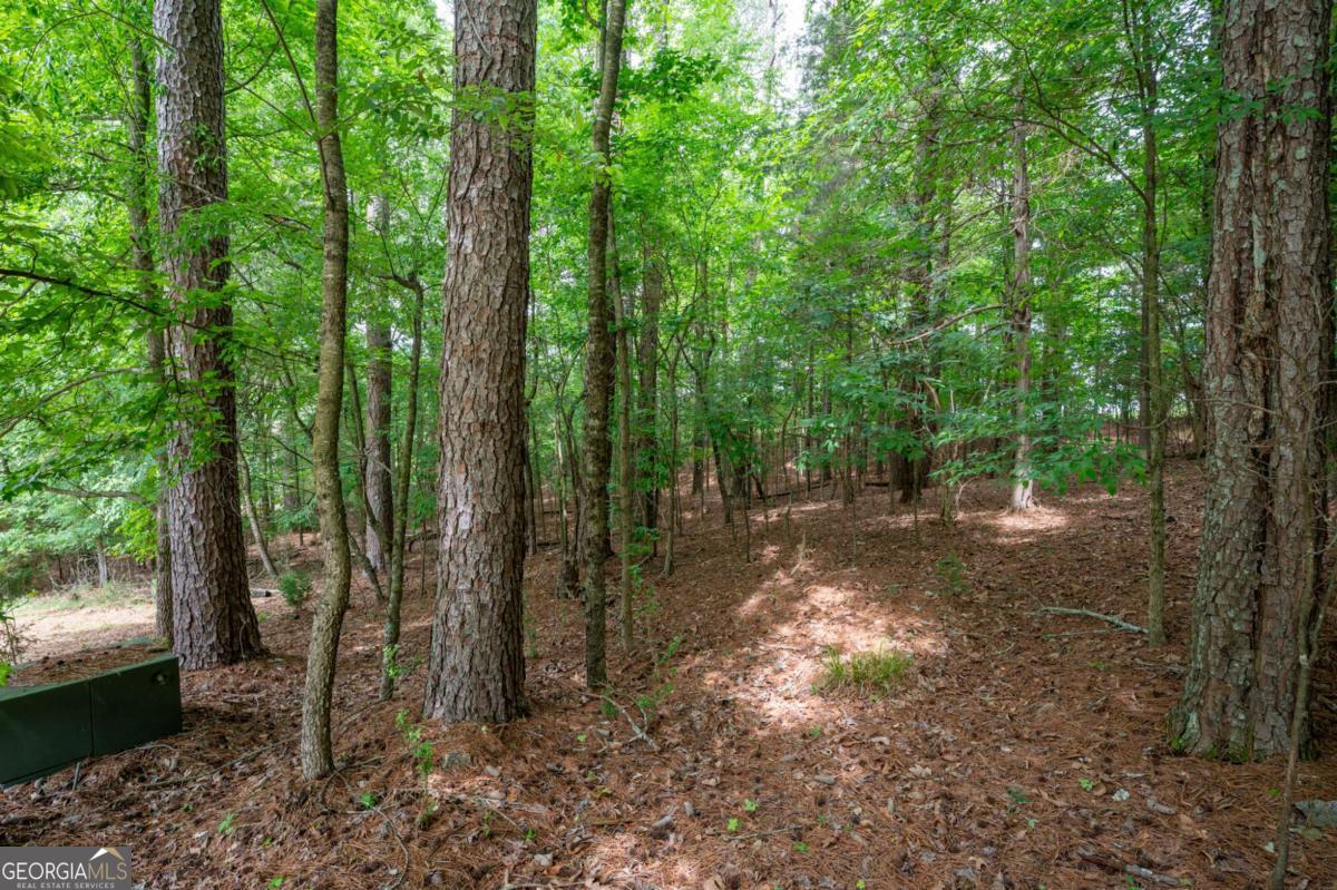 337 Fields Ferry Drive Ne Property Photo 54