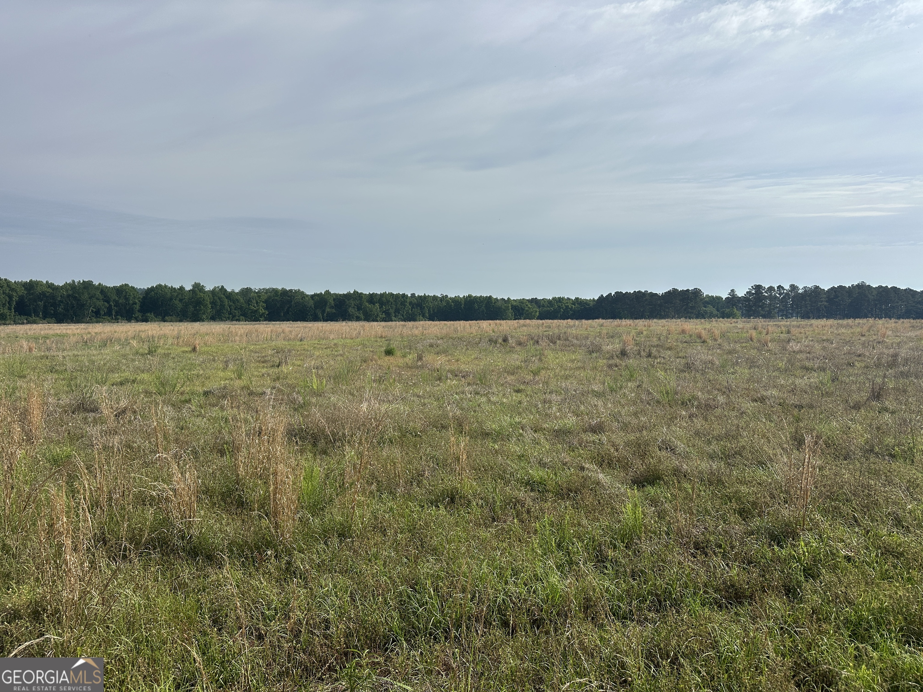 1309 Jarrell Pond Road Property Photo 1