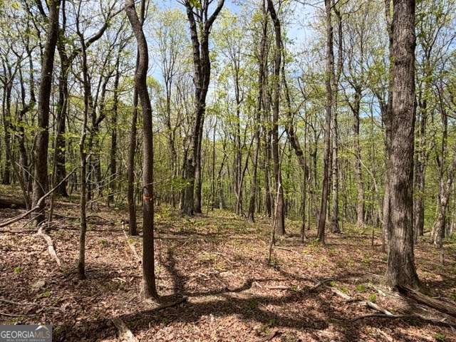 Lot 26 Falcons Nest # 26 Property Photo 1