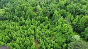 0 Wildlife Lake Road Property Photo 1