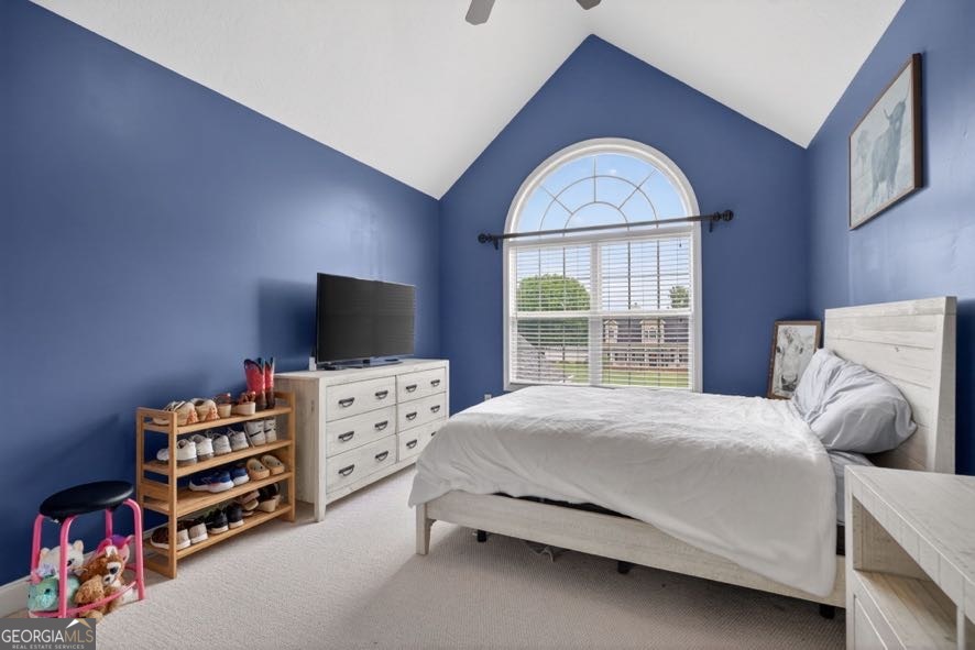 15 Fast Lane Property Photo 23