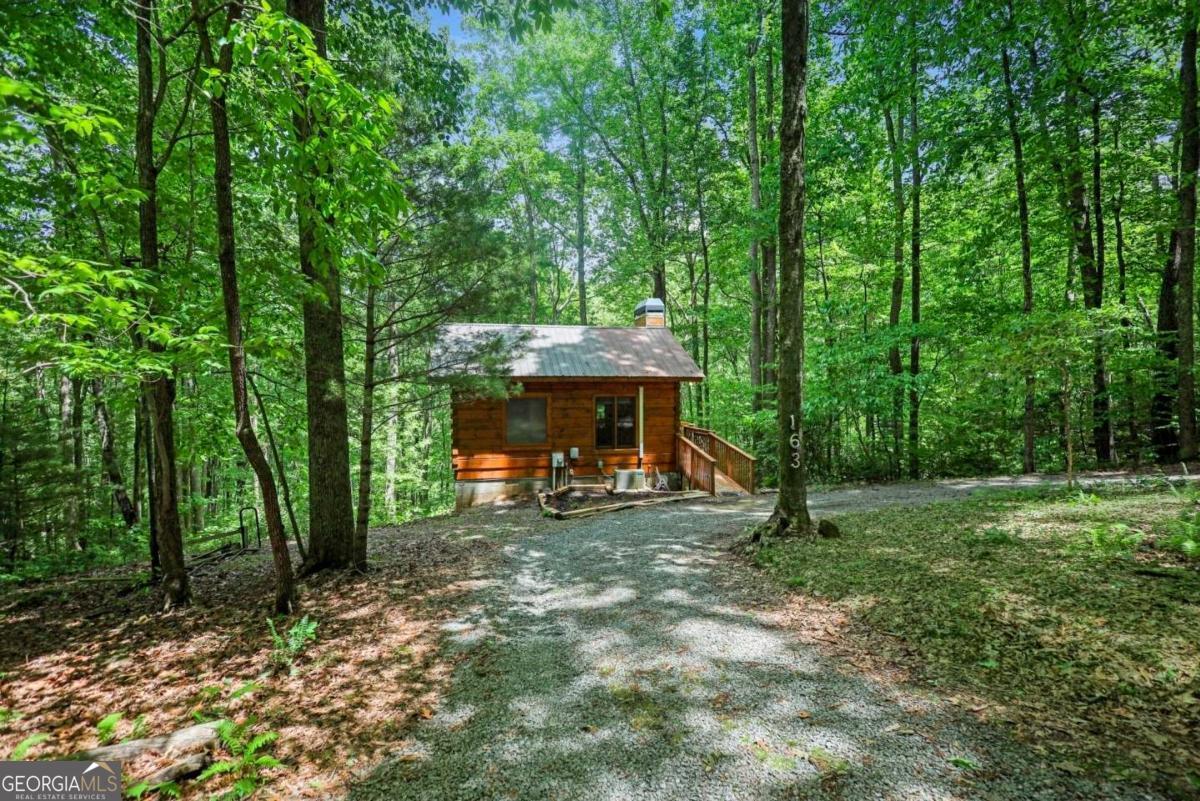 163 Little Rock Creek Trail # 9 Property Photo 2